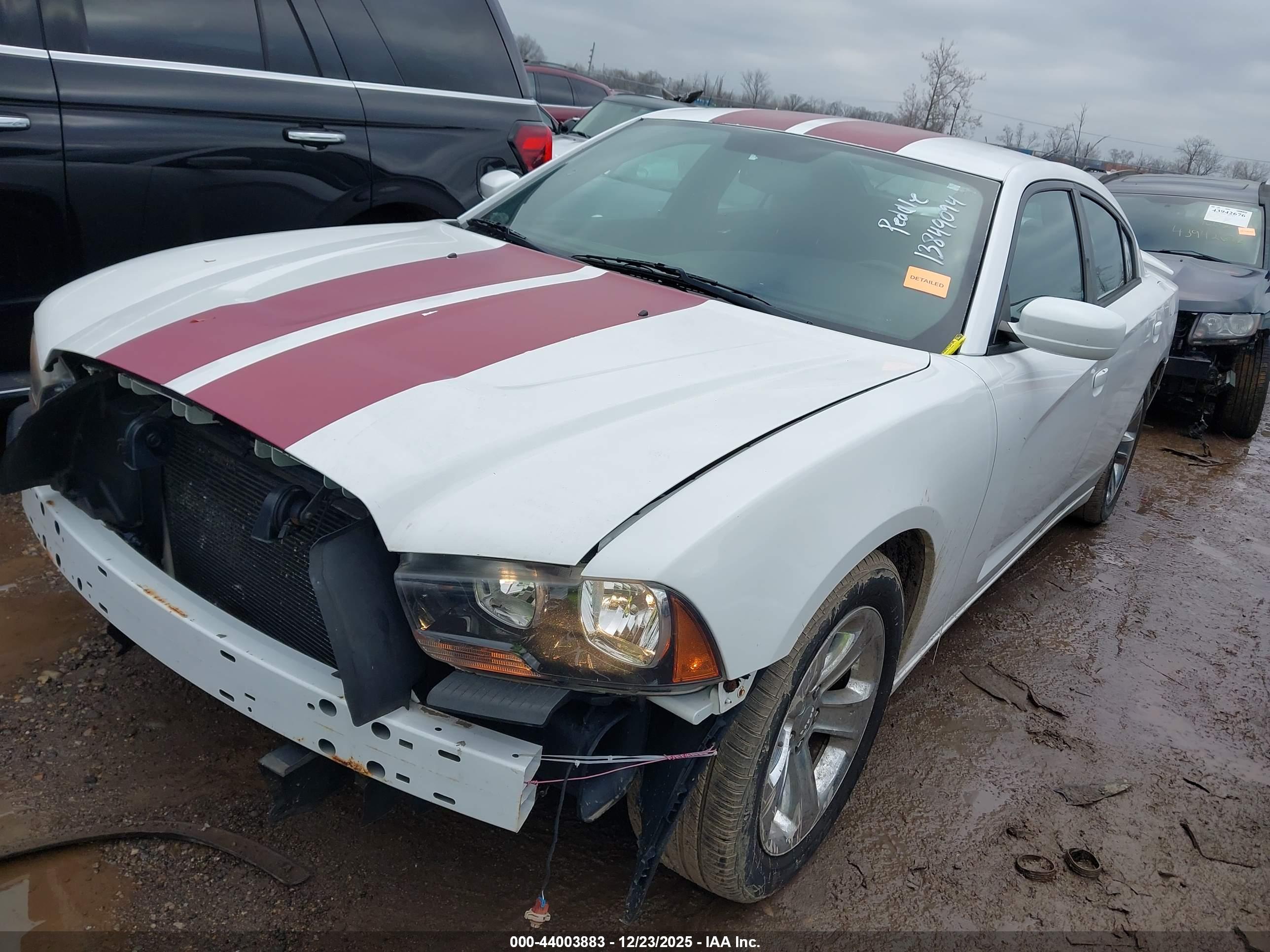 DODGE CHARGER image 2