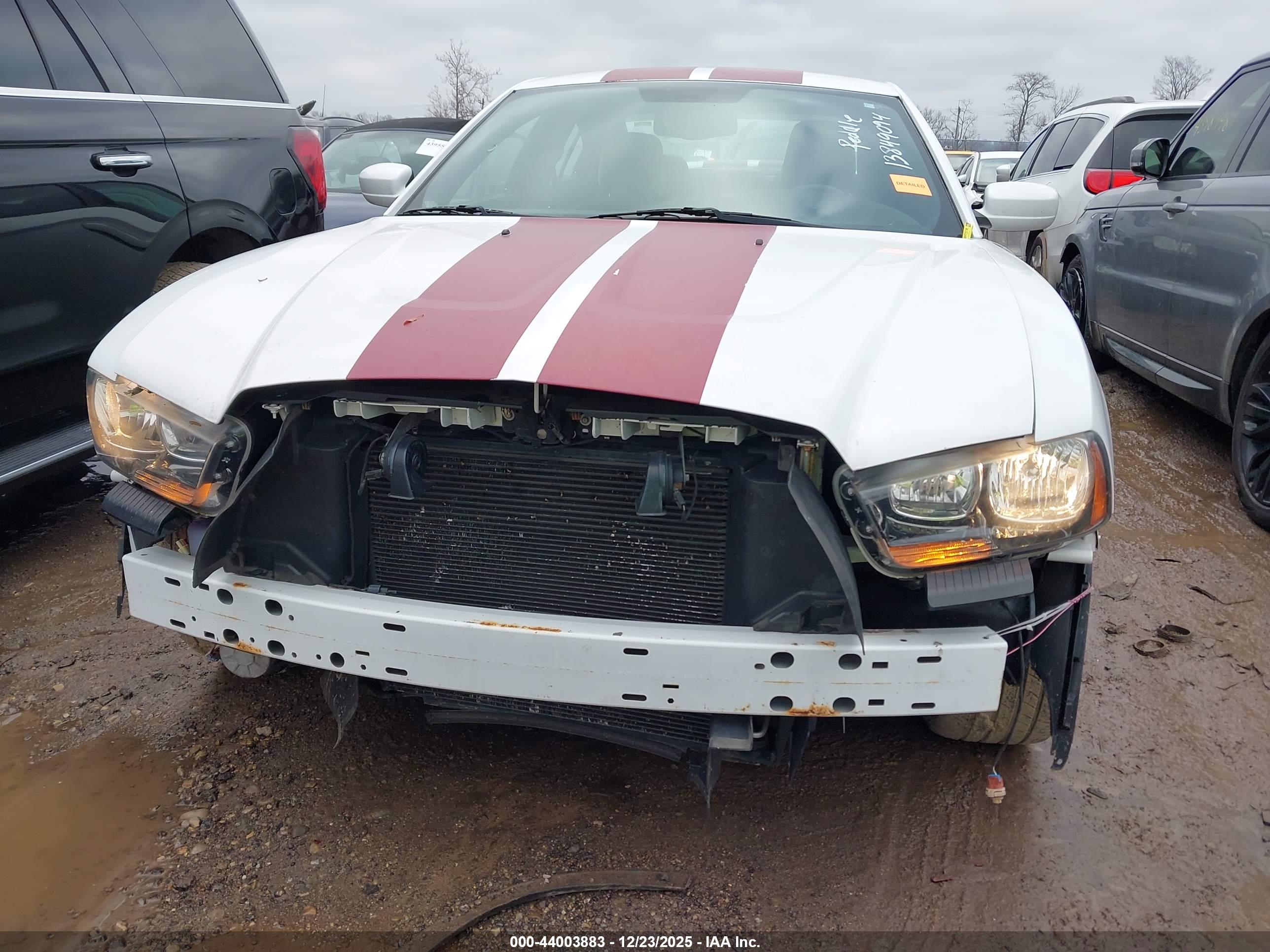 DODGE CHARGER image 6