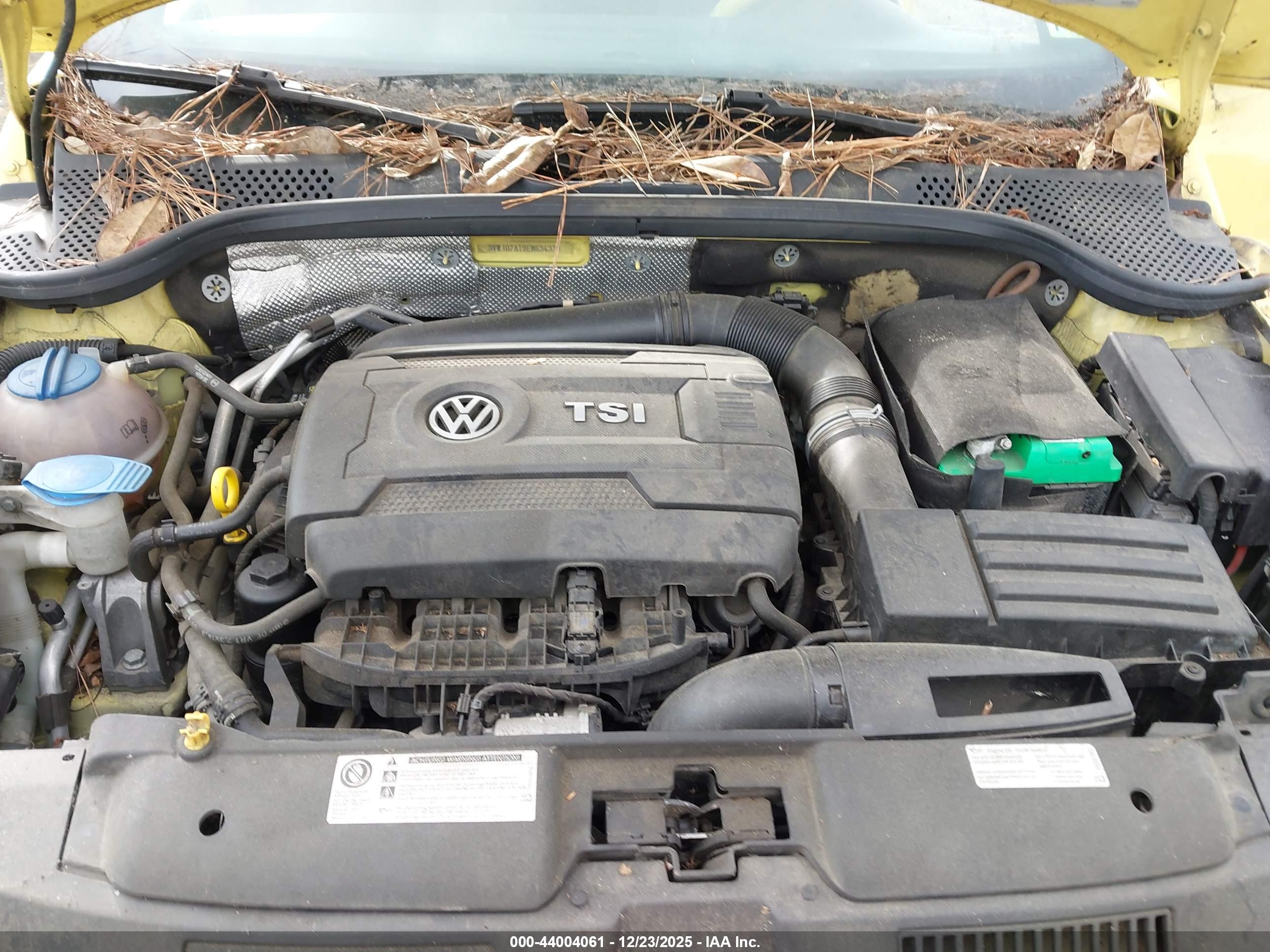 VOLKSWAGEN BEETLE image 10