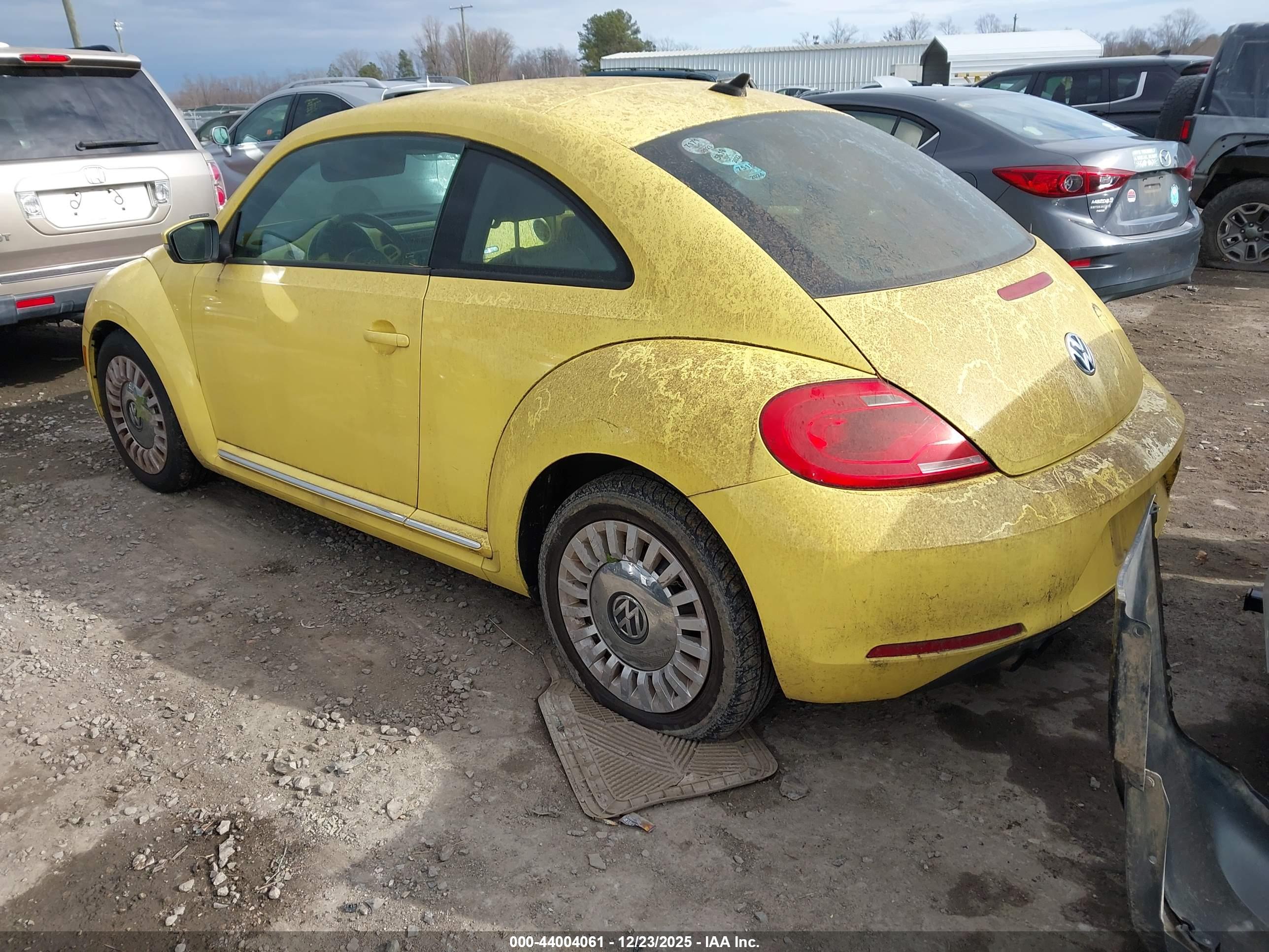 VOLKSWAGEN BEETLE image 3