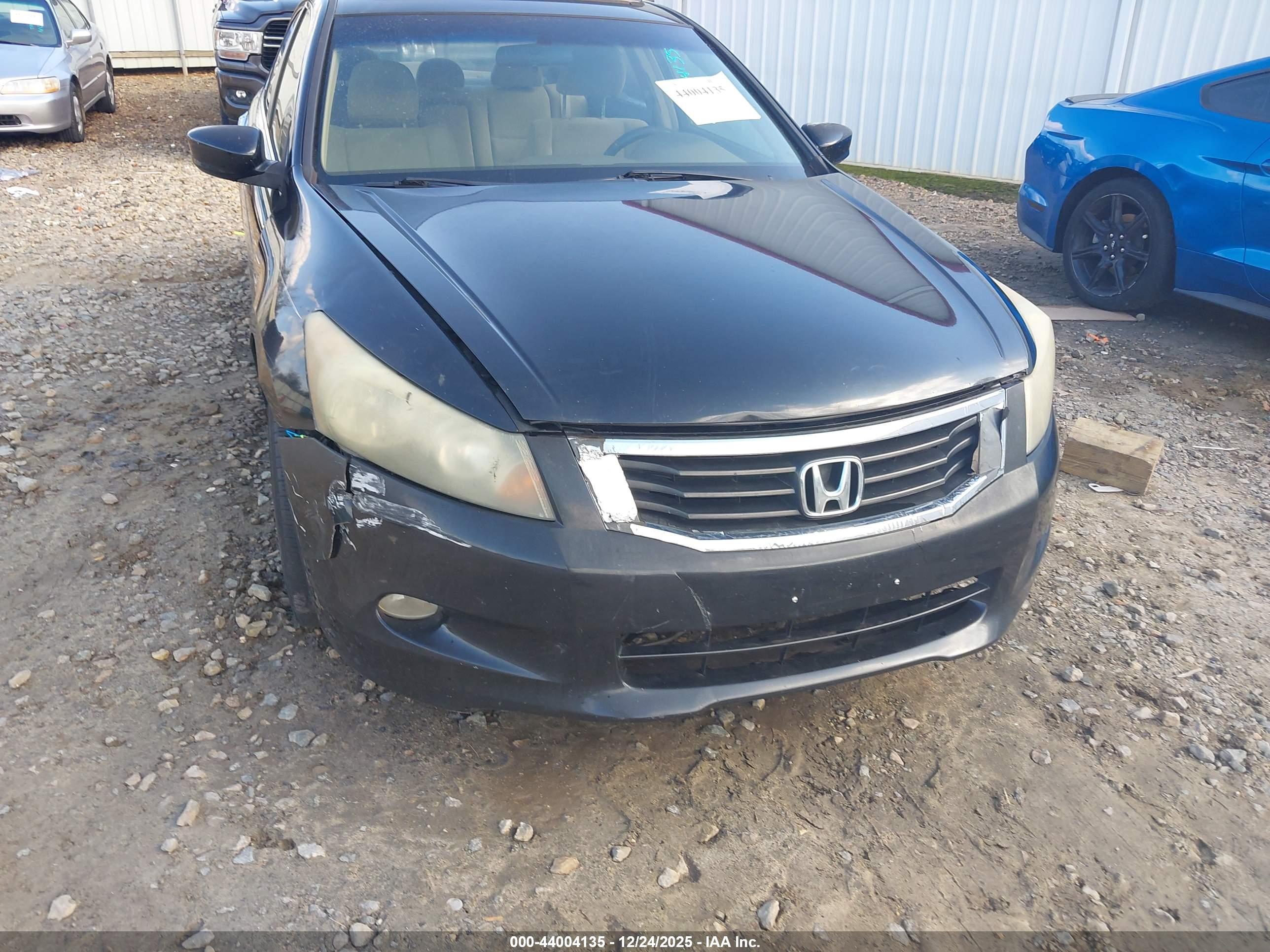 HONDA ACCORD image 6