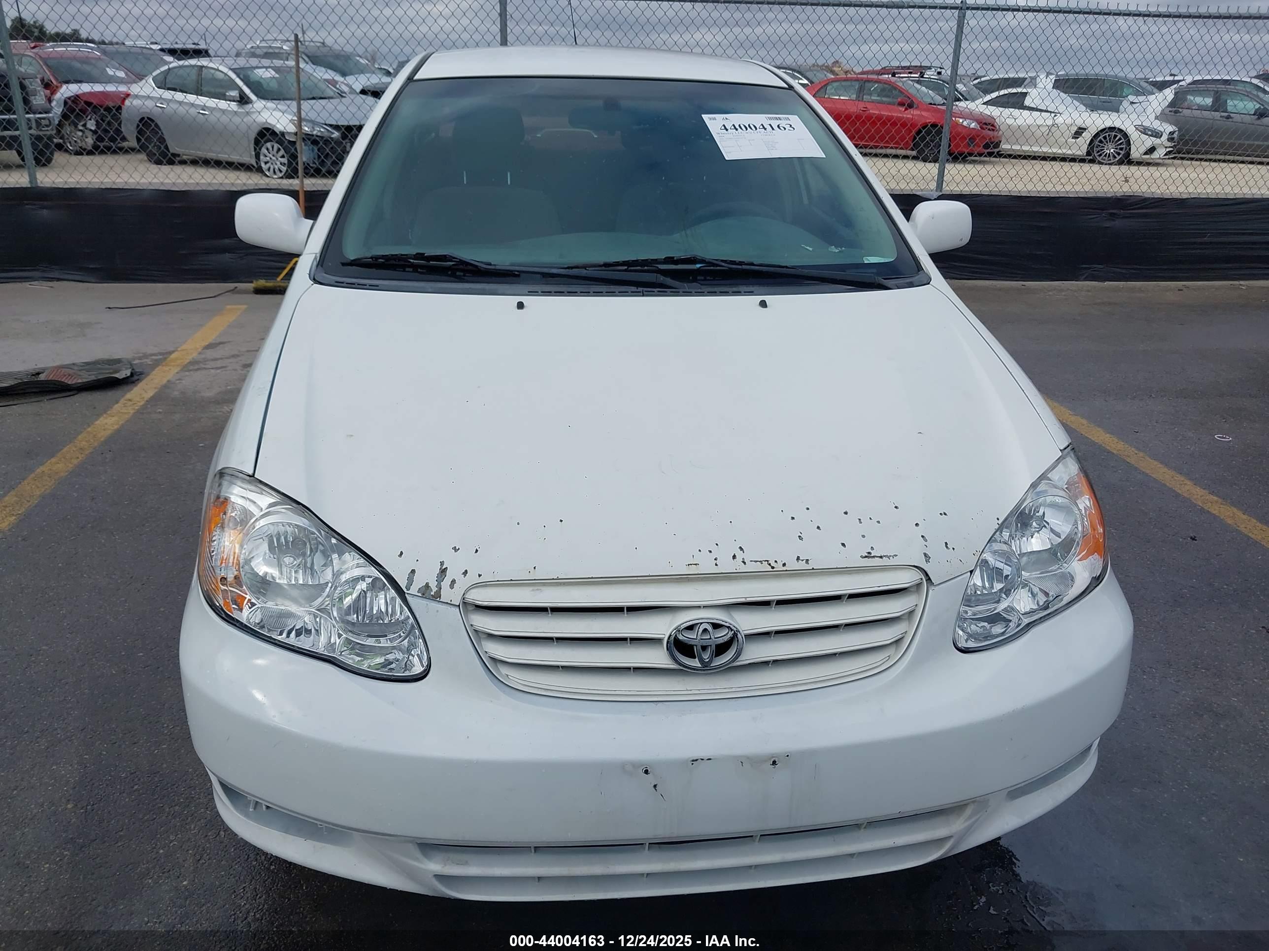 TOYOTA COROLLA image 6