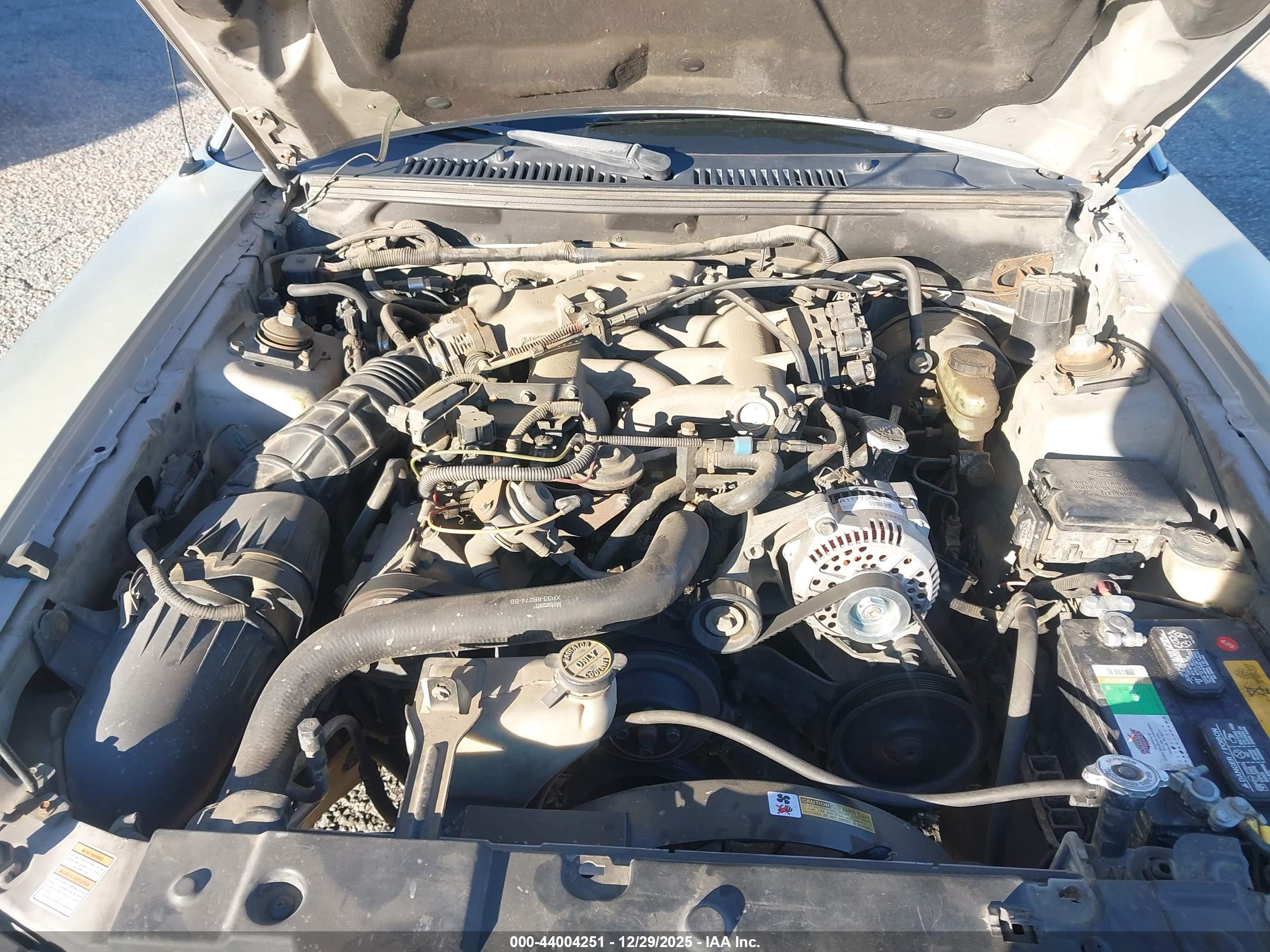 FORD MUSTANG image 10