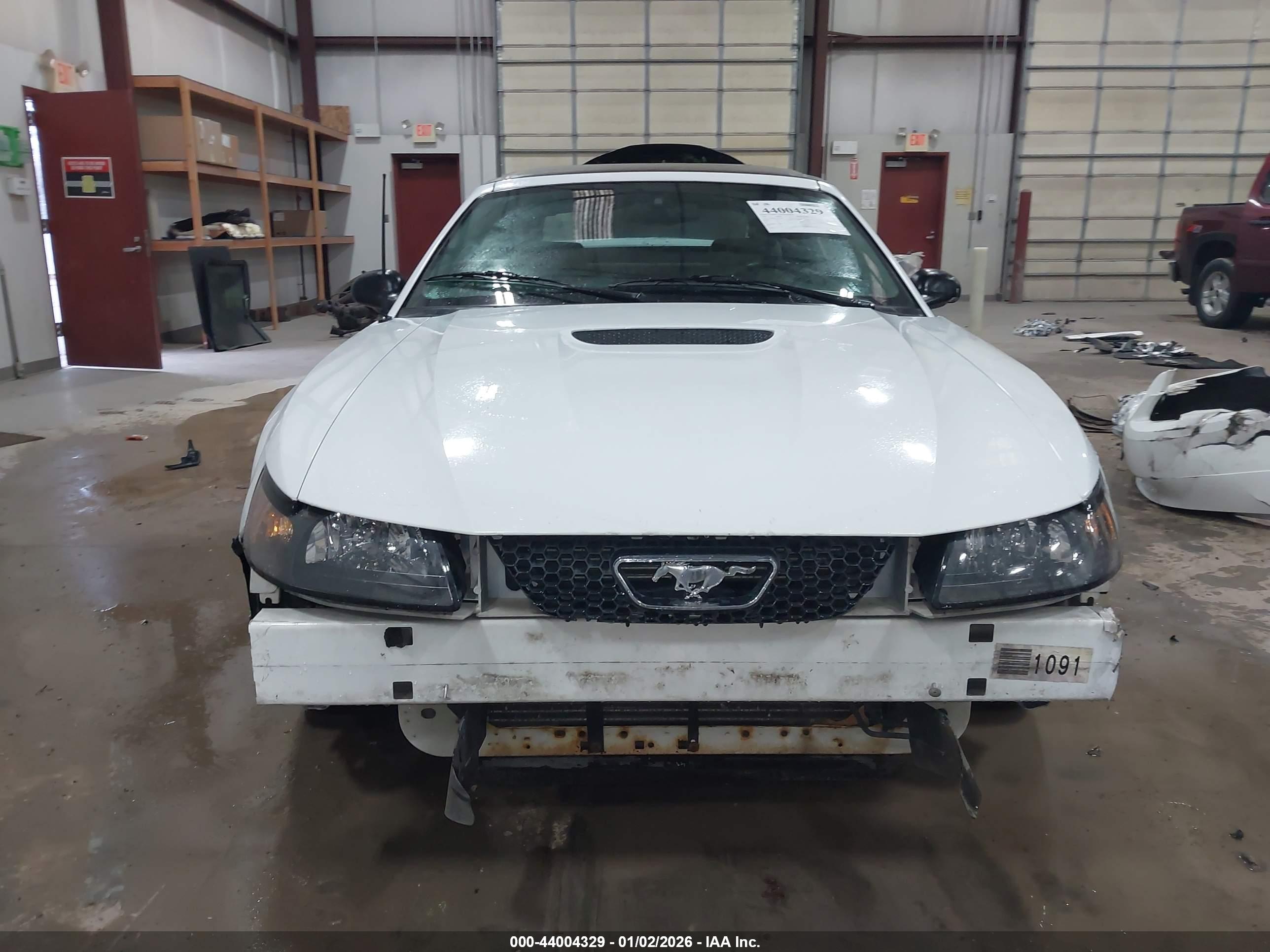 FORD MUSTANG image 6