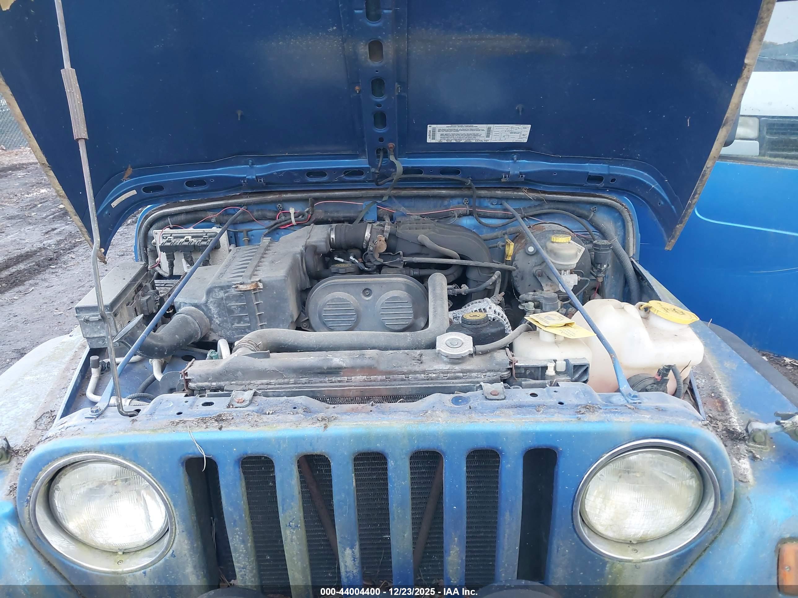 JEEP WRANGLER image 10