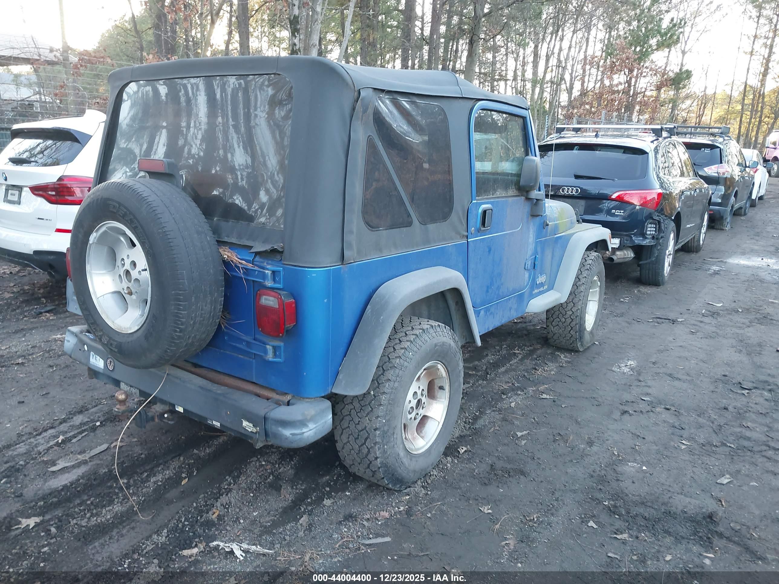 JEEP WRANGLER image 4