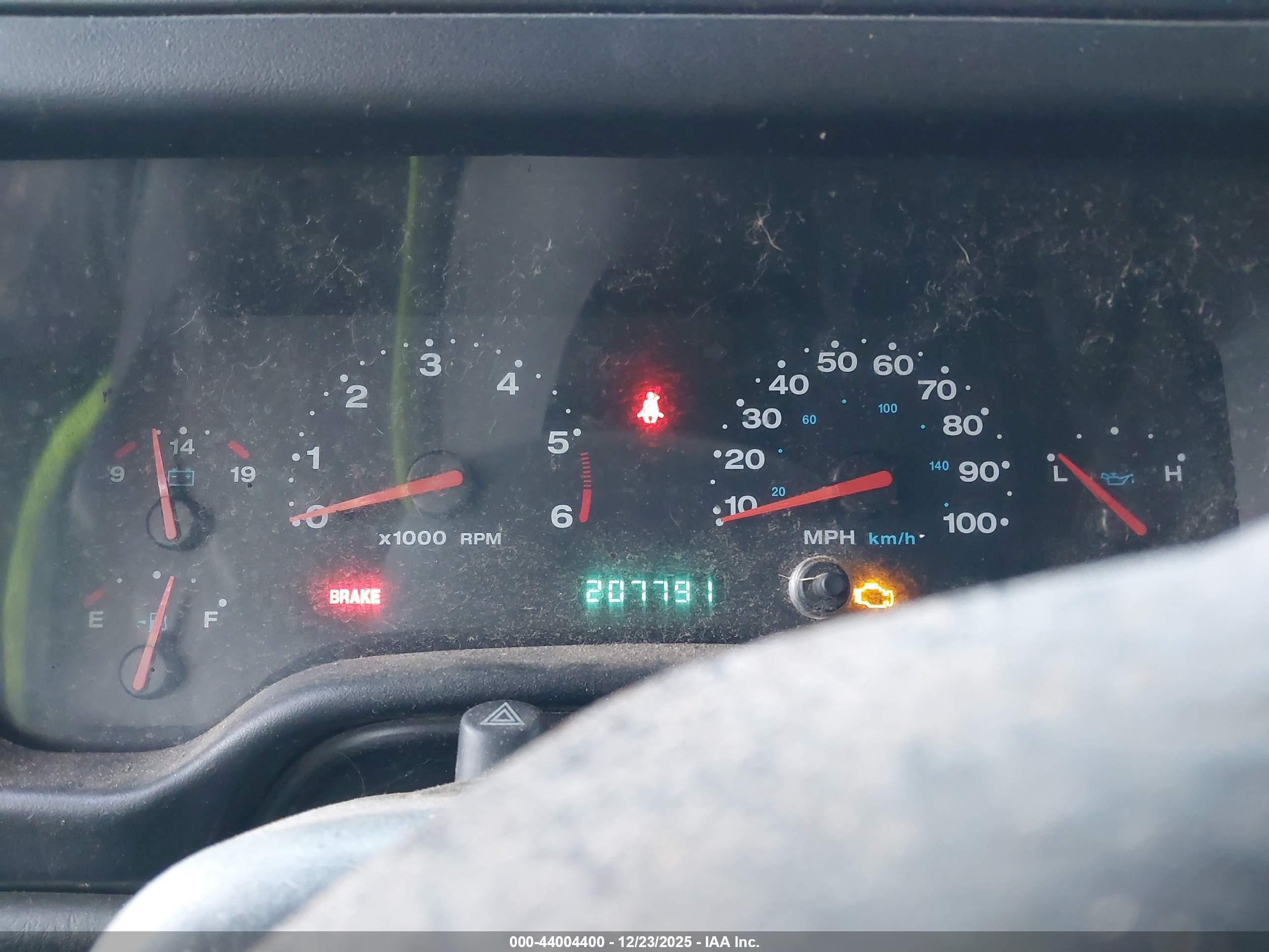 JEEP WRANGLER image 7