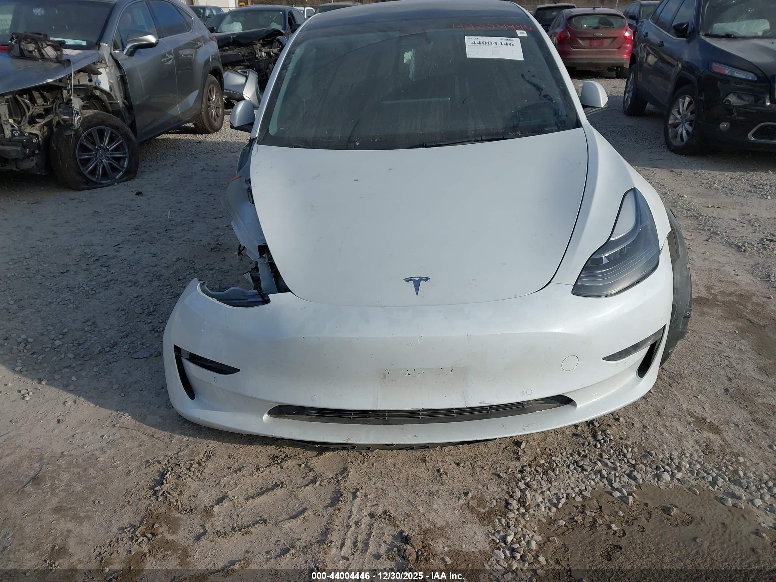 TESLA MODEL image 6