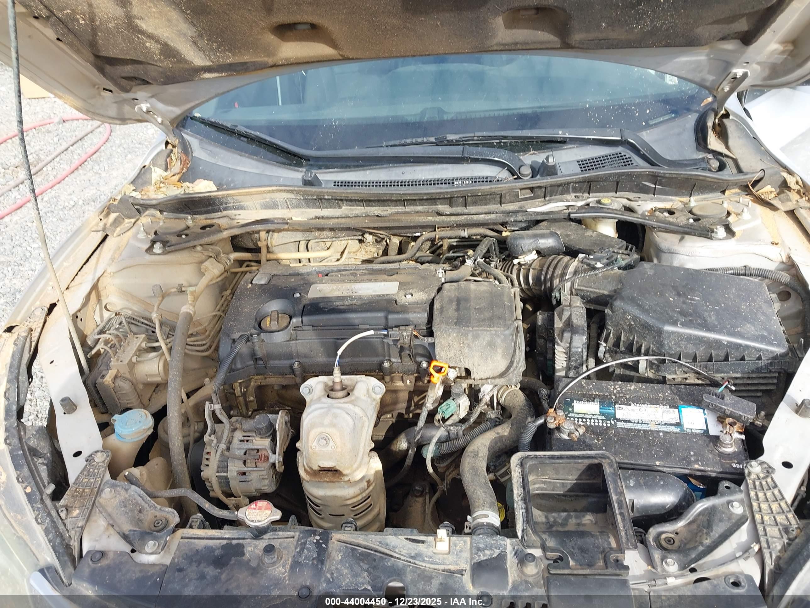 HONDA ACCORD image 10