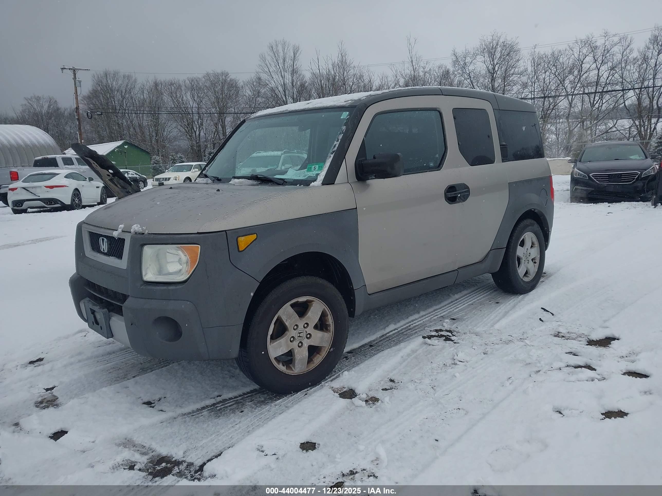 HONDA ELEMENT image 2