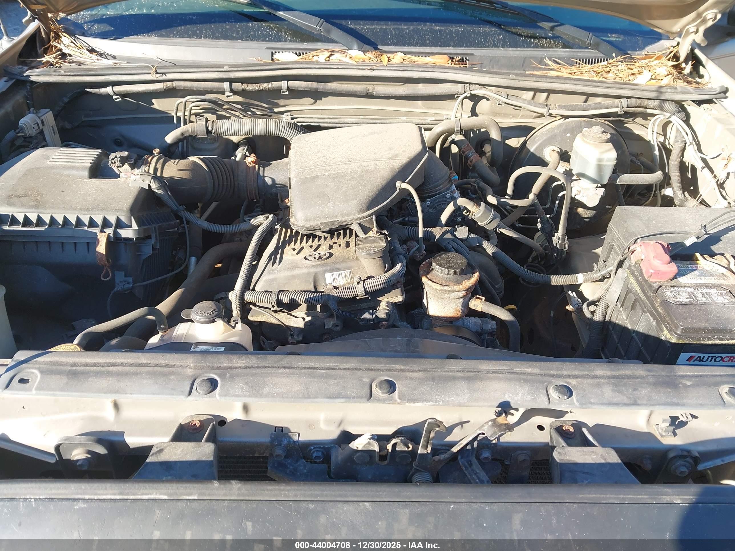 TOYOTA TACOMA image 10