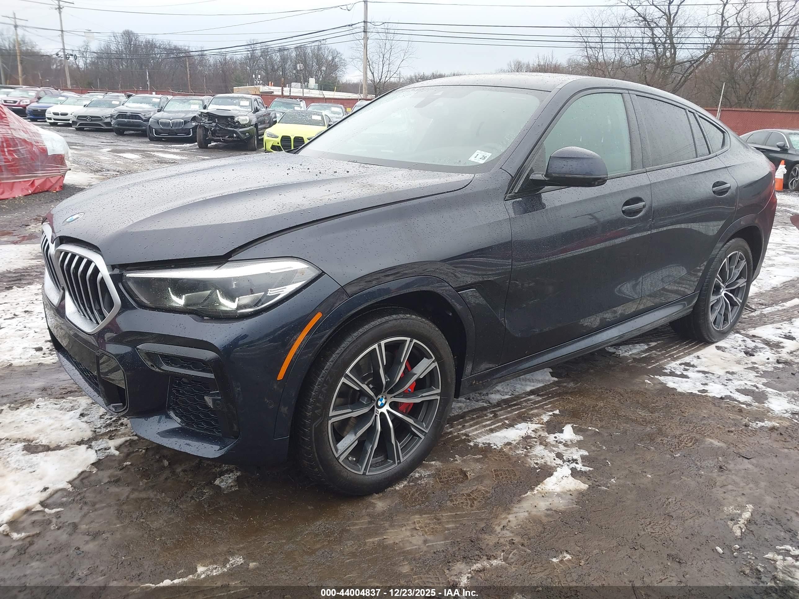 BMW X6 image 2
