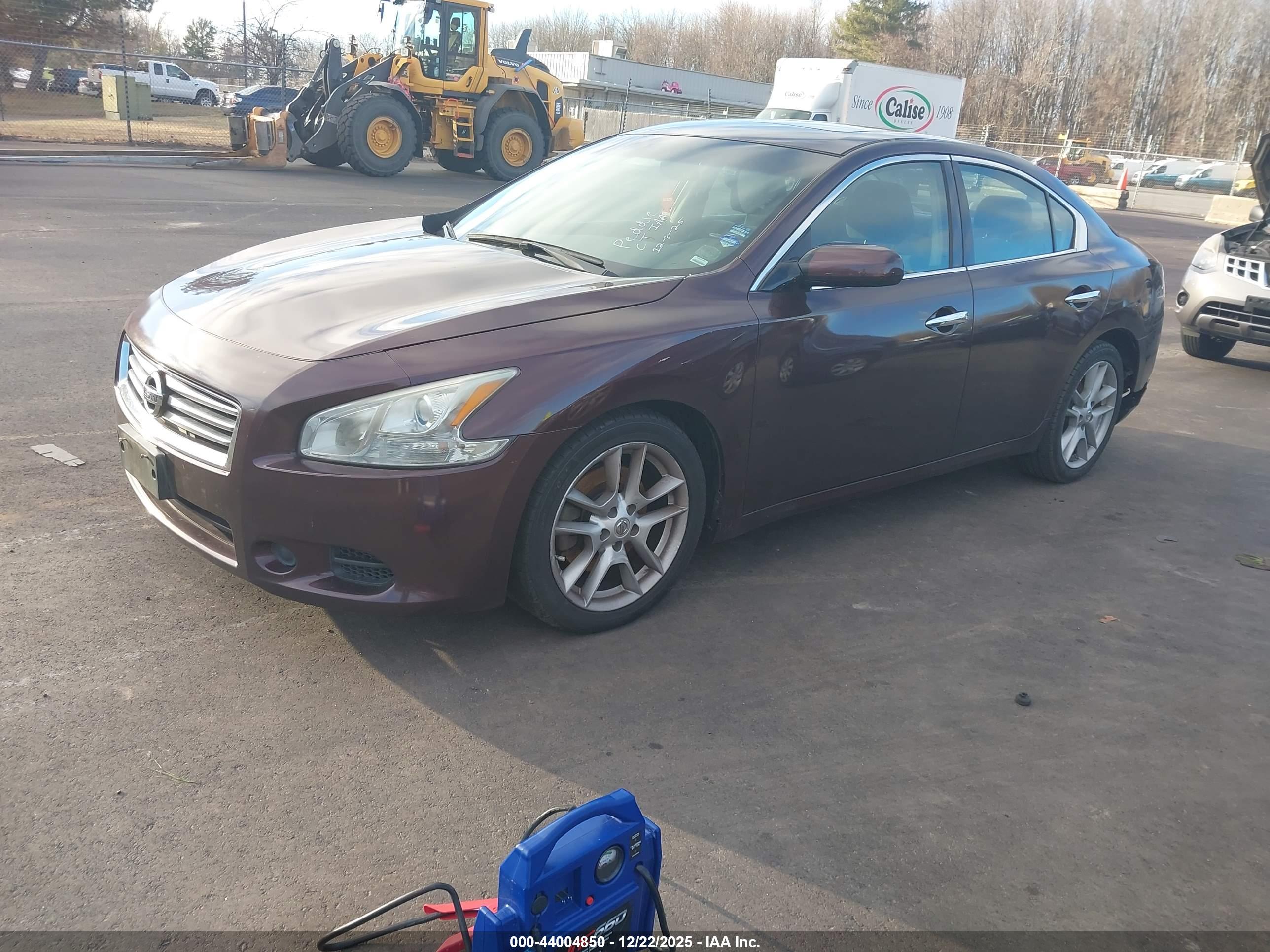 NISSAN MAXIMA image 2