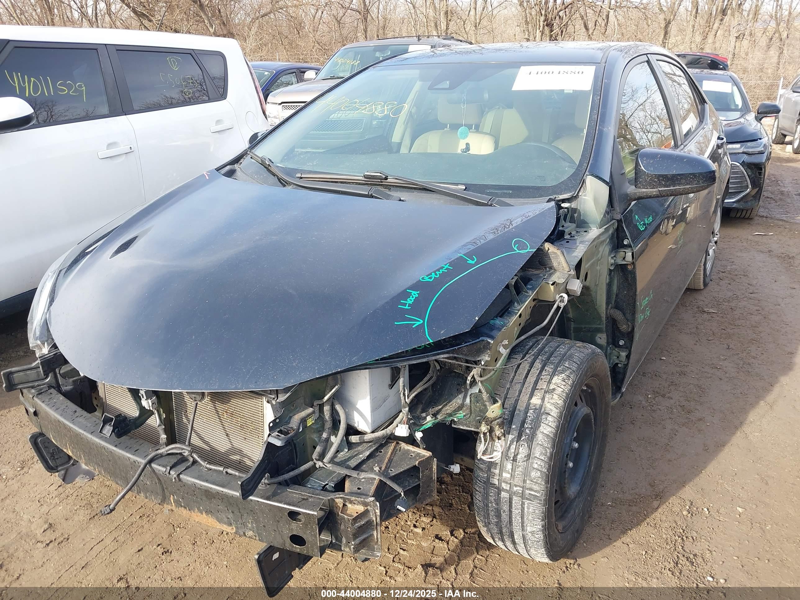 TOYOTA COROLLA image 2