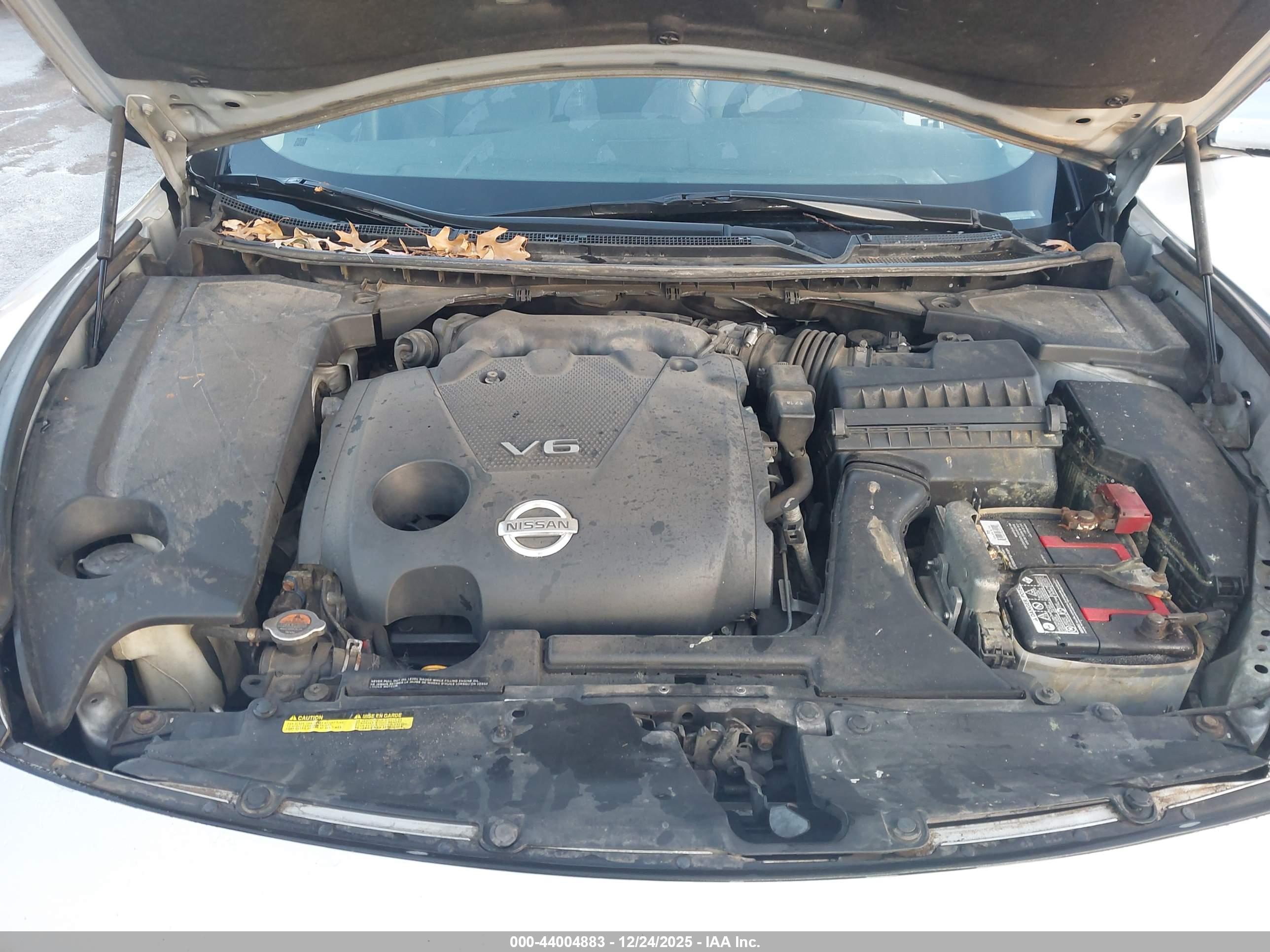 NISSAN MAXIMA image 10