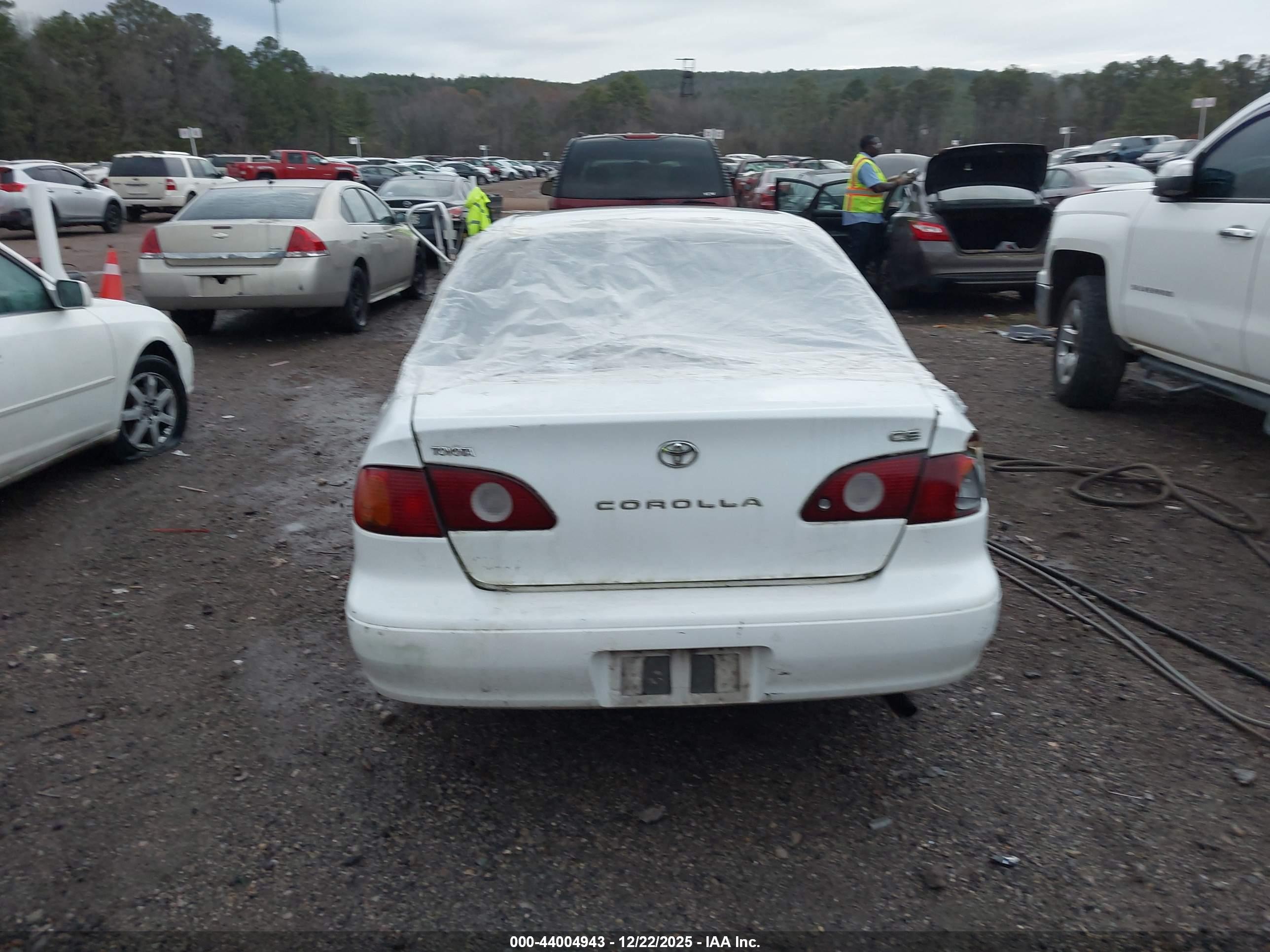 TOYOTA COROLLA image 6