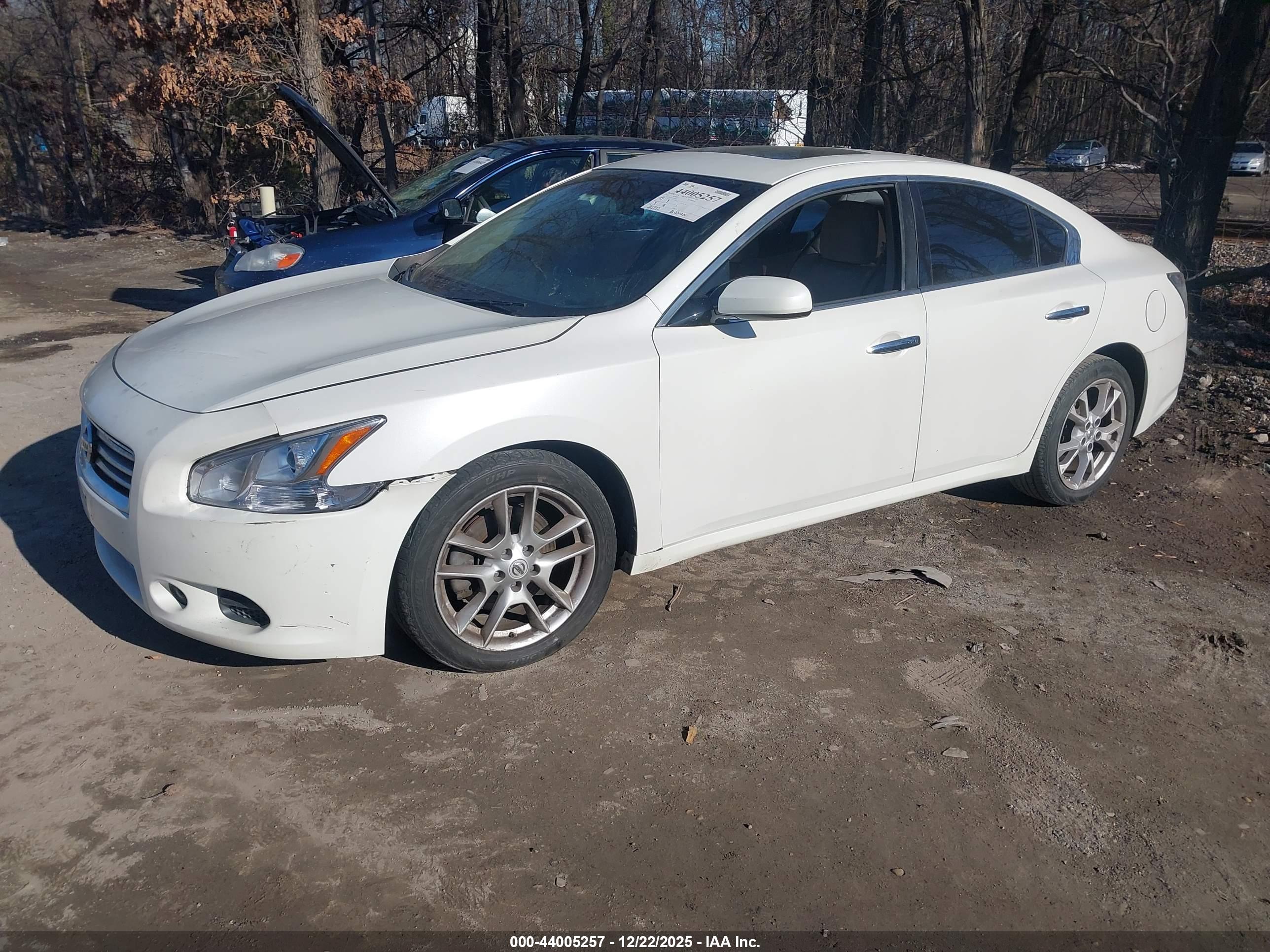 NISSAN MAXIMA image 2