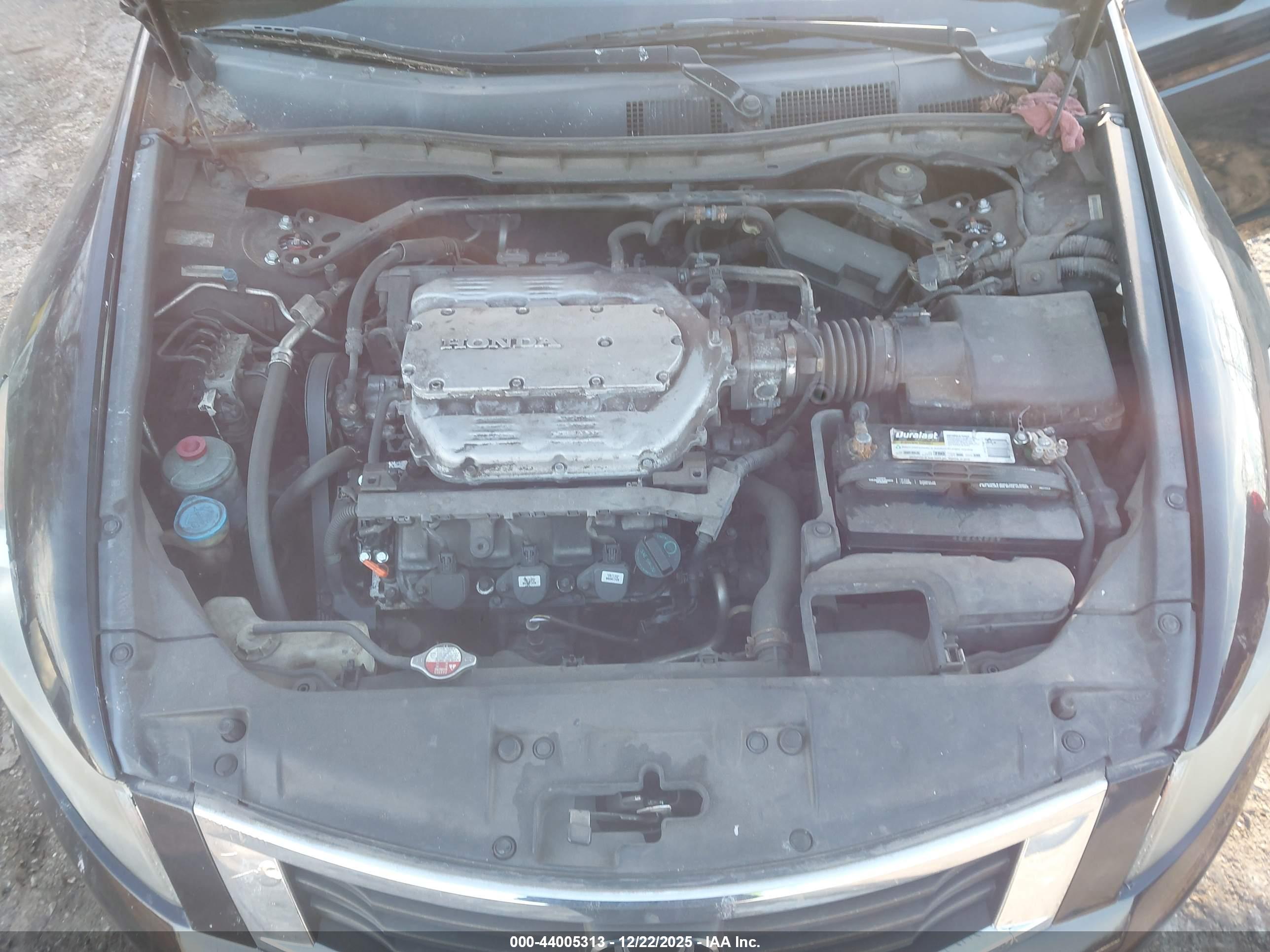 HONDA ACCORD image 10