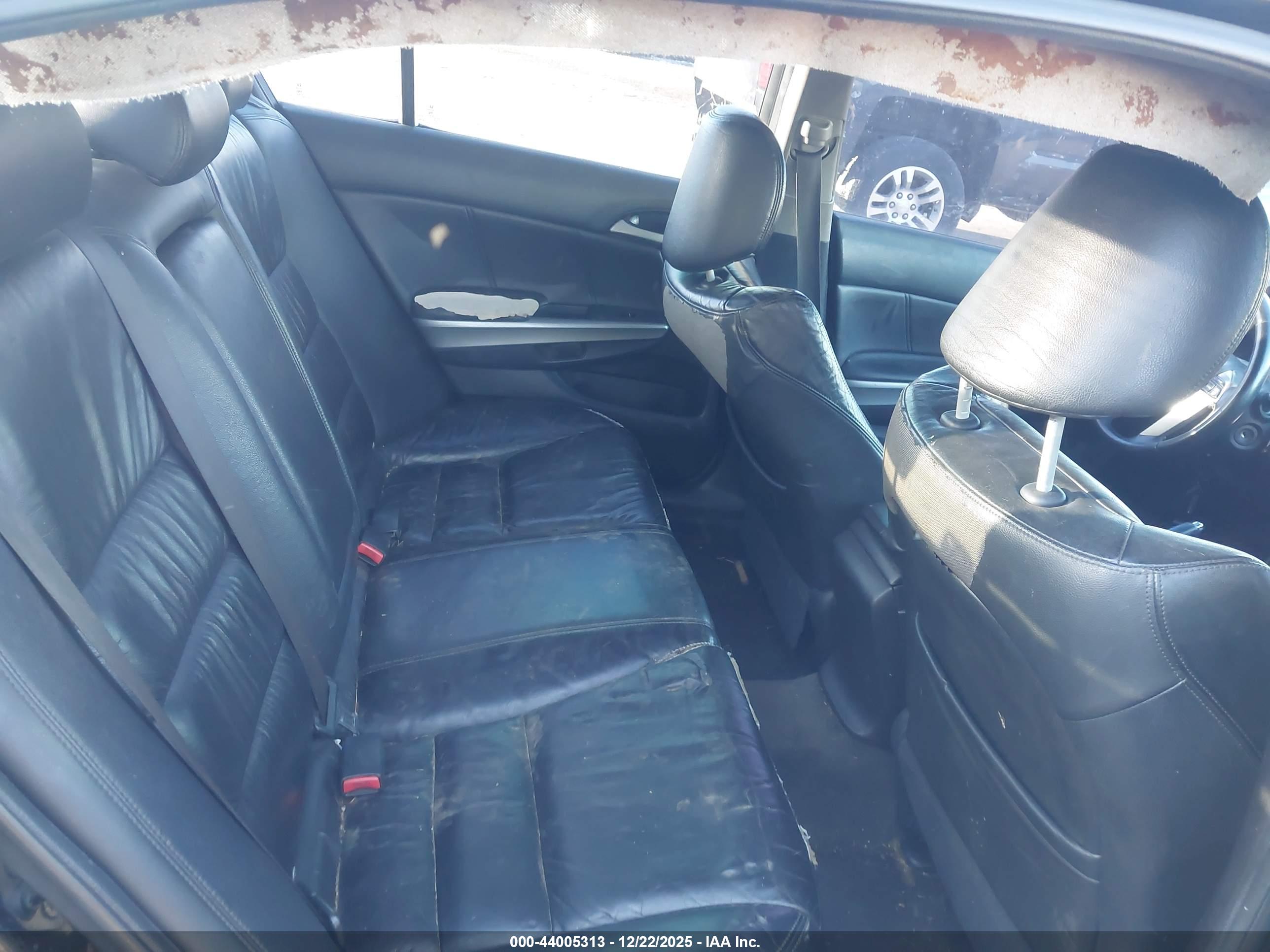 HONDA ACCORD image 8