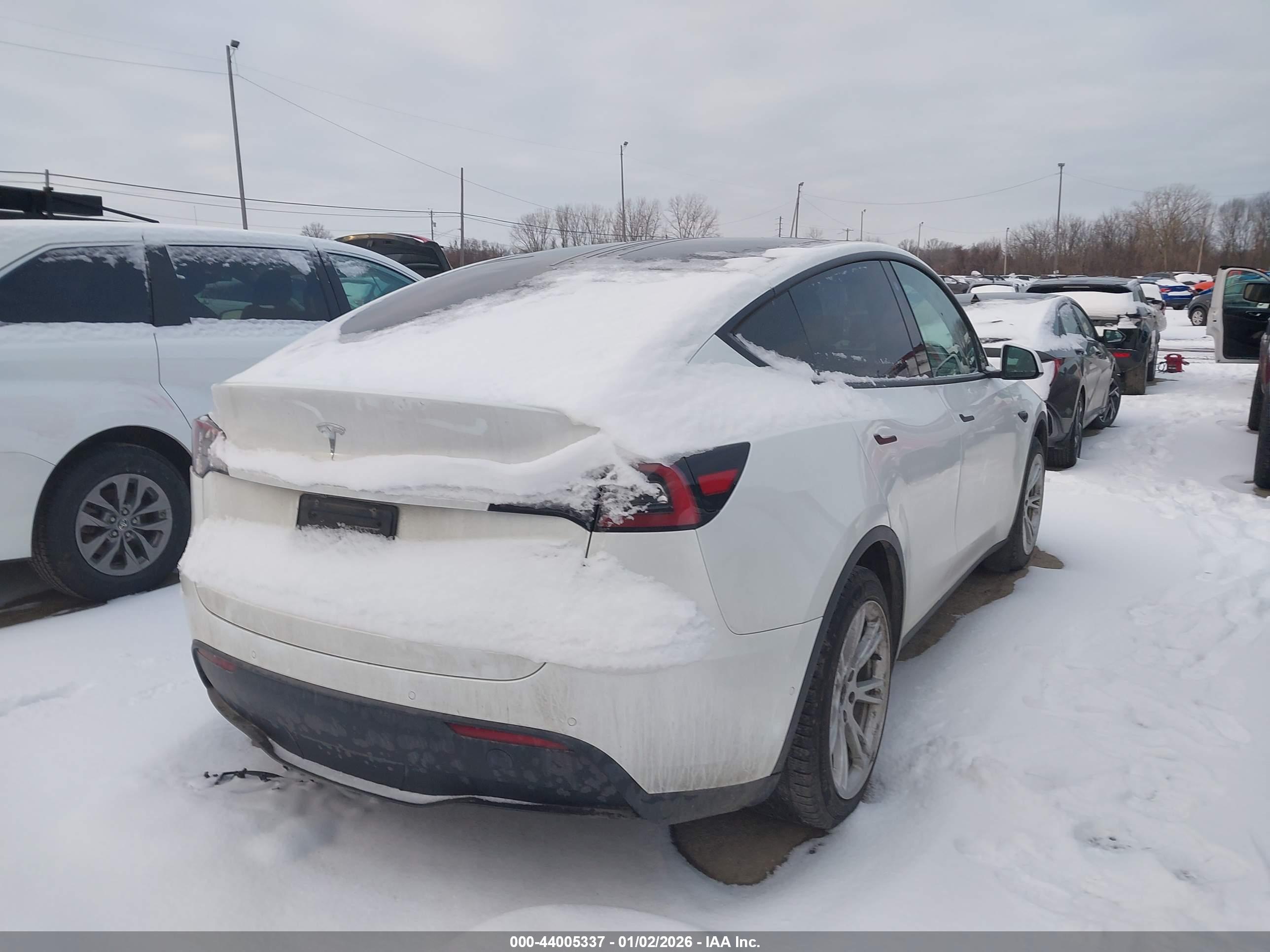 TESLA MODEL image 4