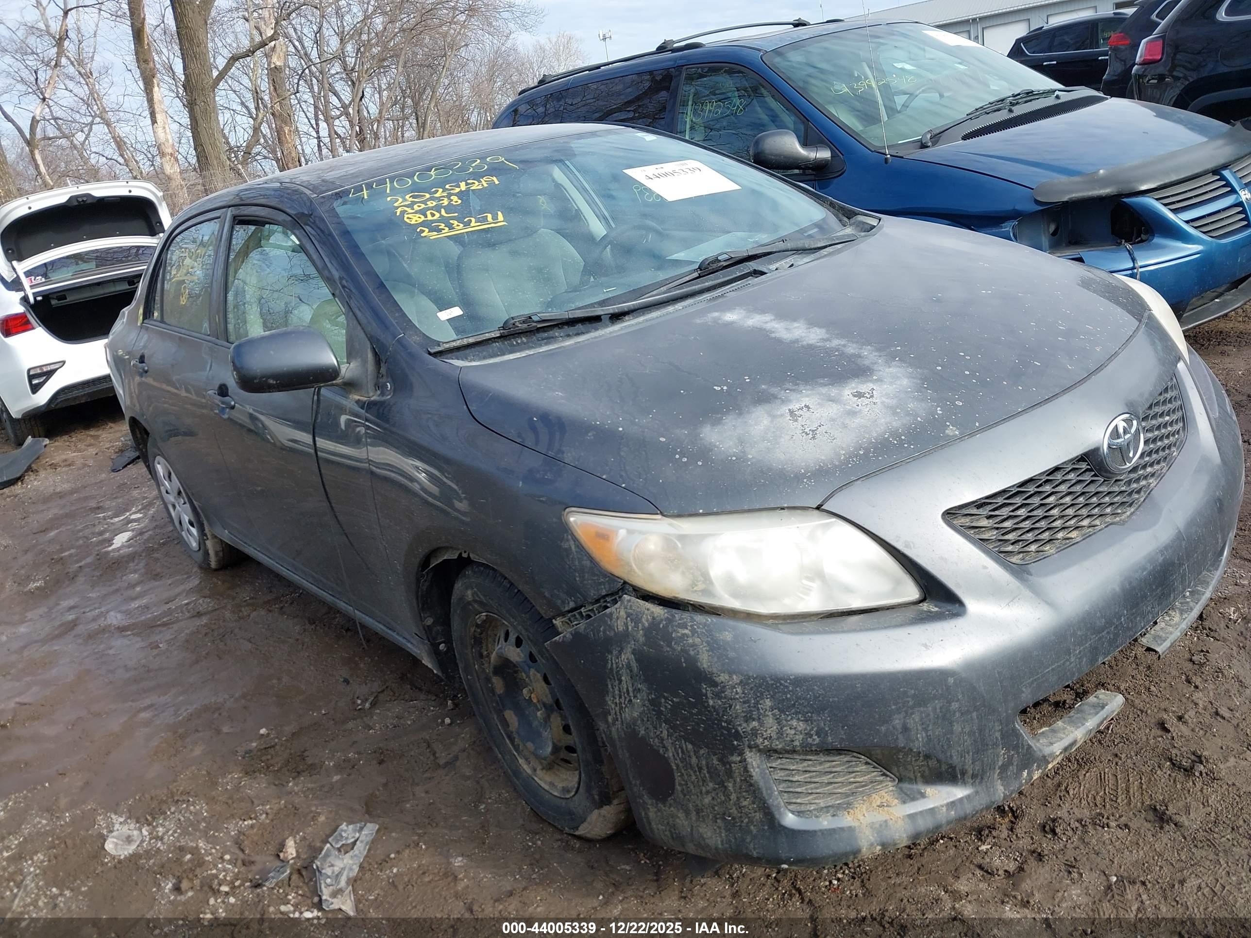 TOYOTA COROLLA image 6