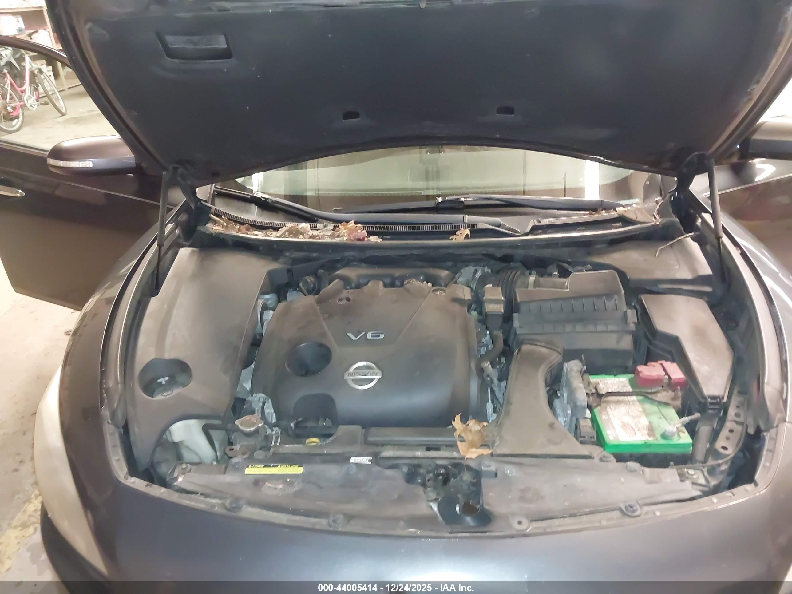 NISSAN MAXIMA image 10