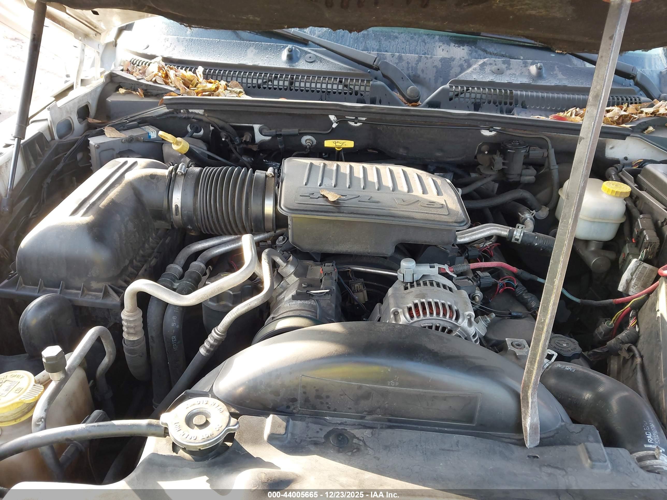 DODGE DAKOTA image 10