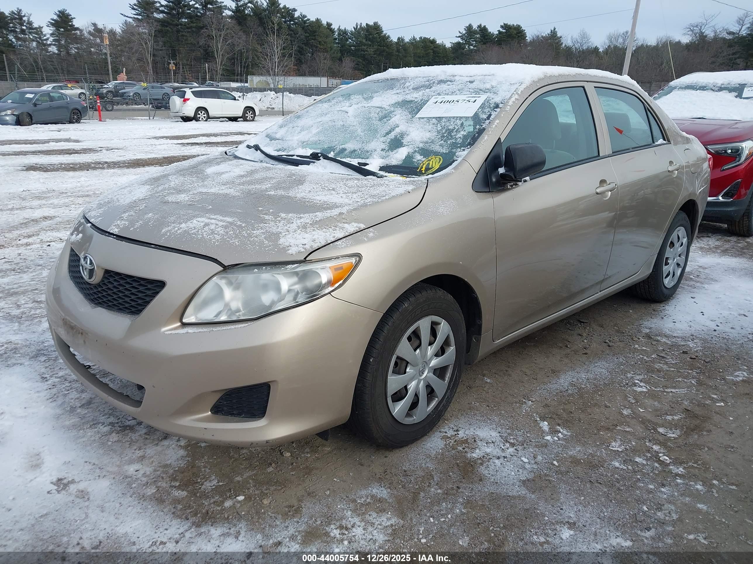 TOYOTA COROLLA image 2