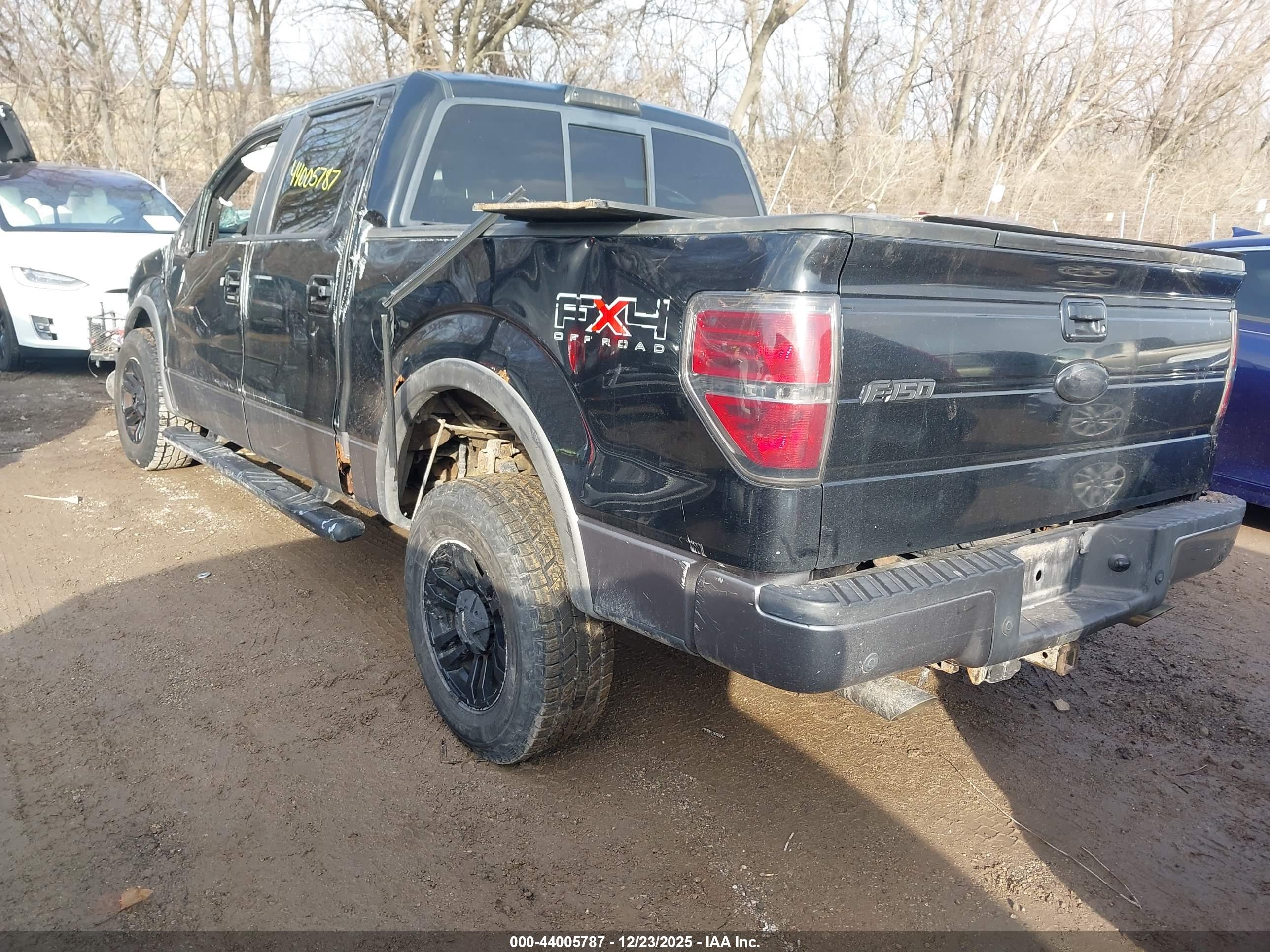 FORD F-150 image 3
