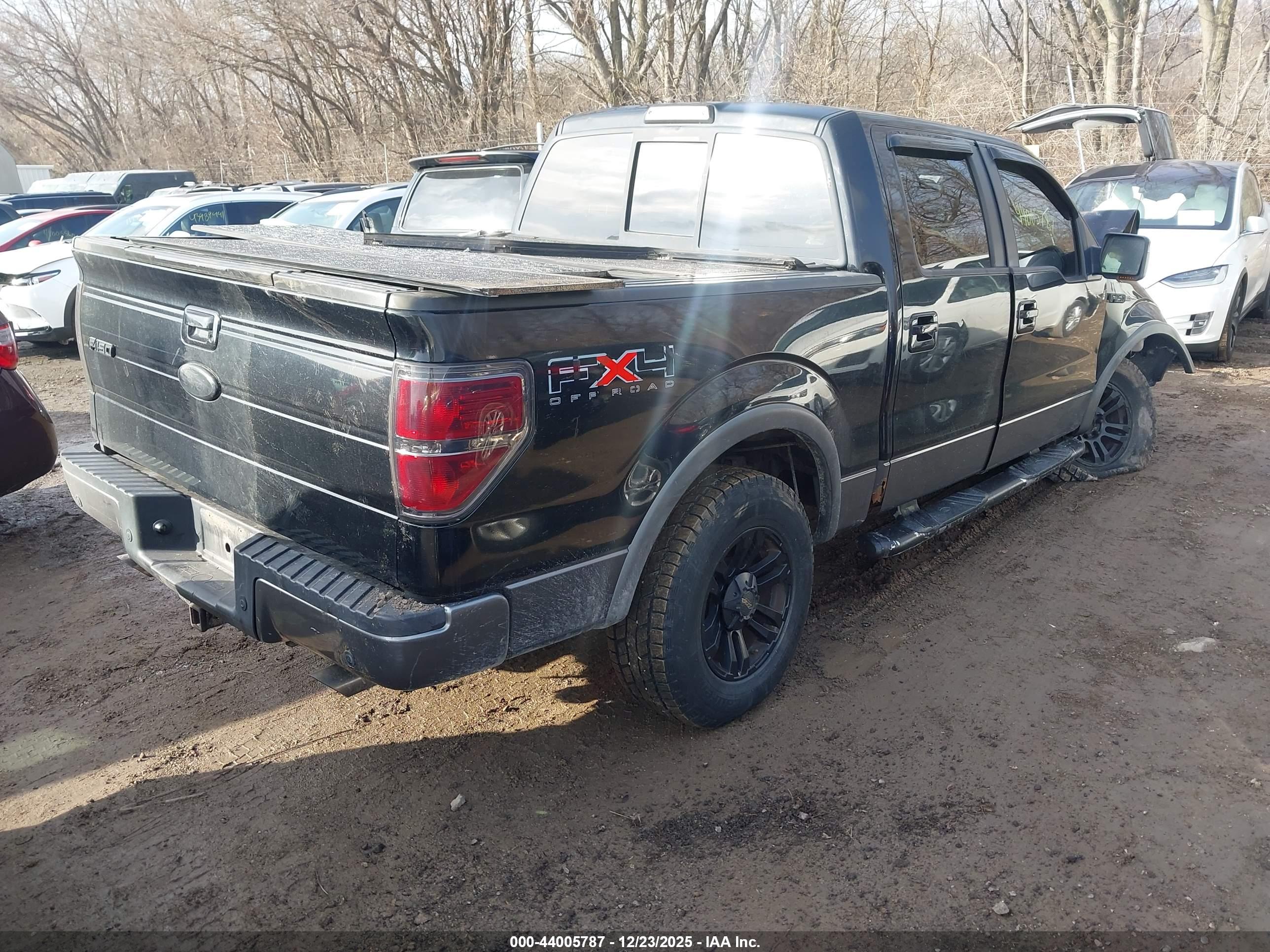 FORD F-150 image 4