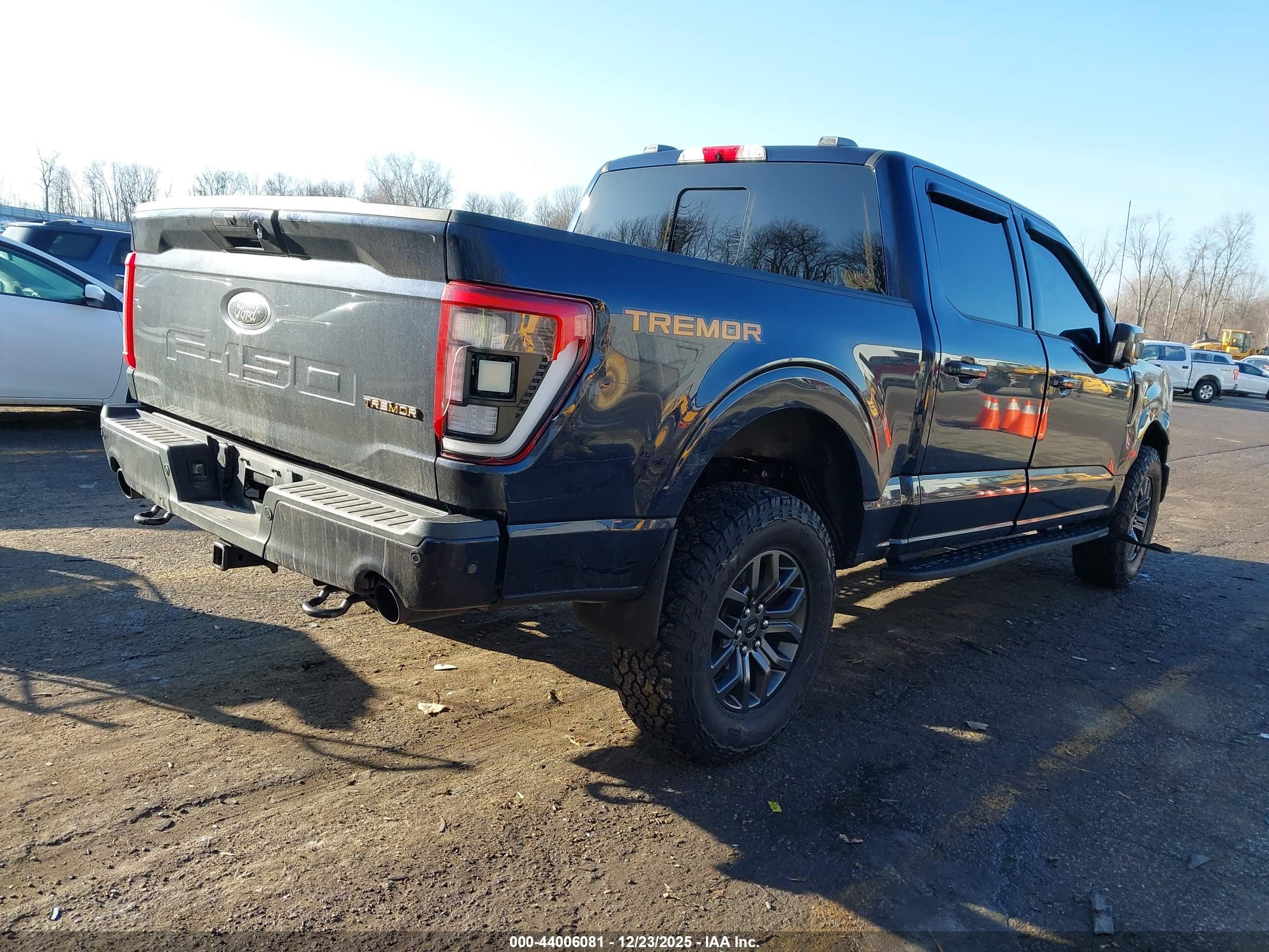 FORD F-150 image 4