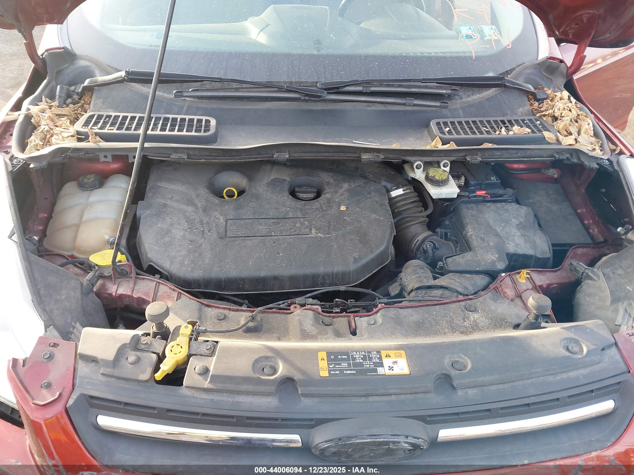 FORD ESCAPE image 10