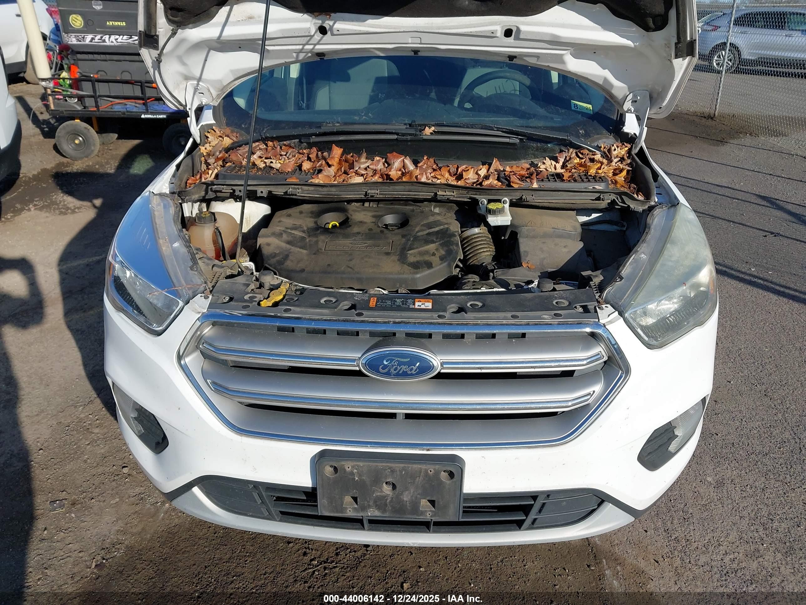 FORD ESCAPE image 6