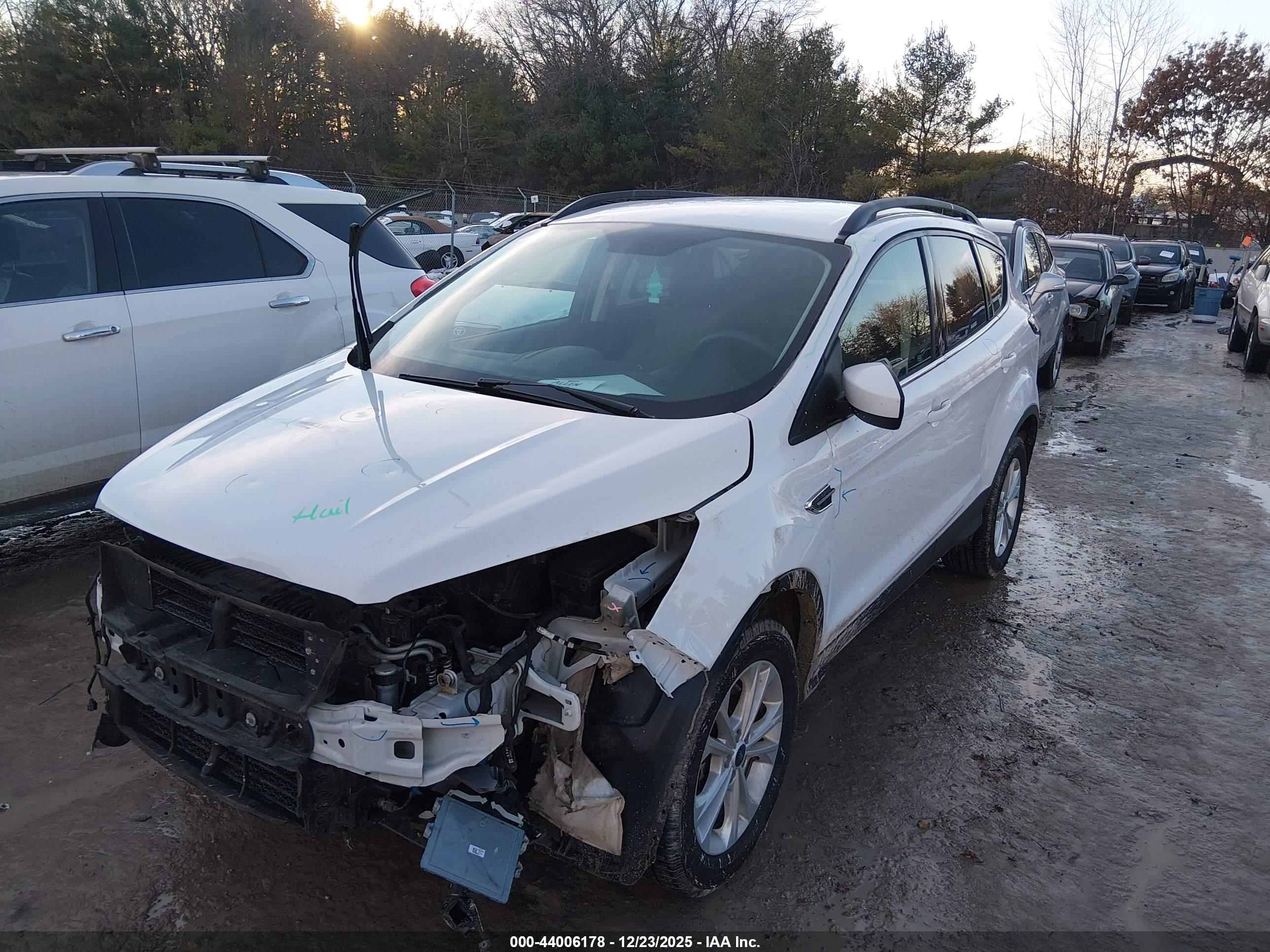 FORD ESCAPE image 2