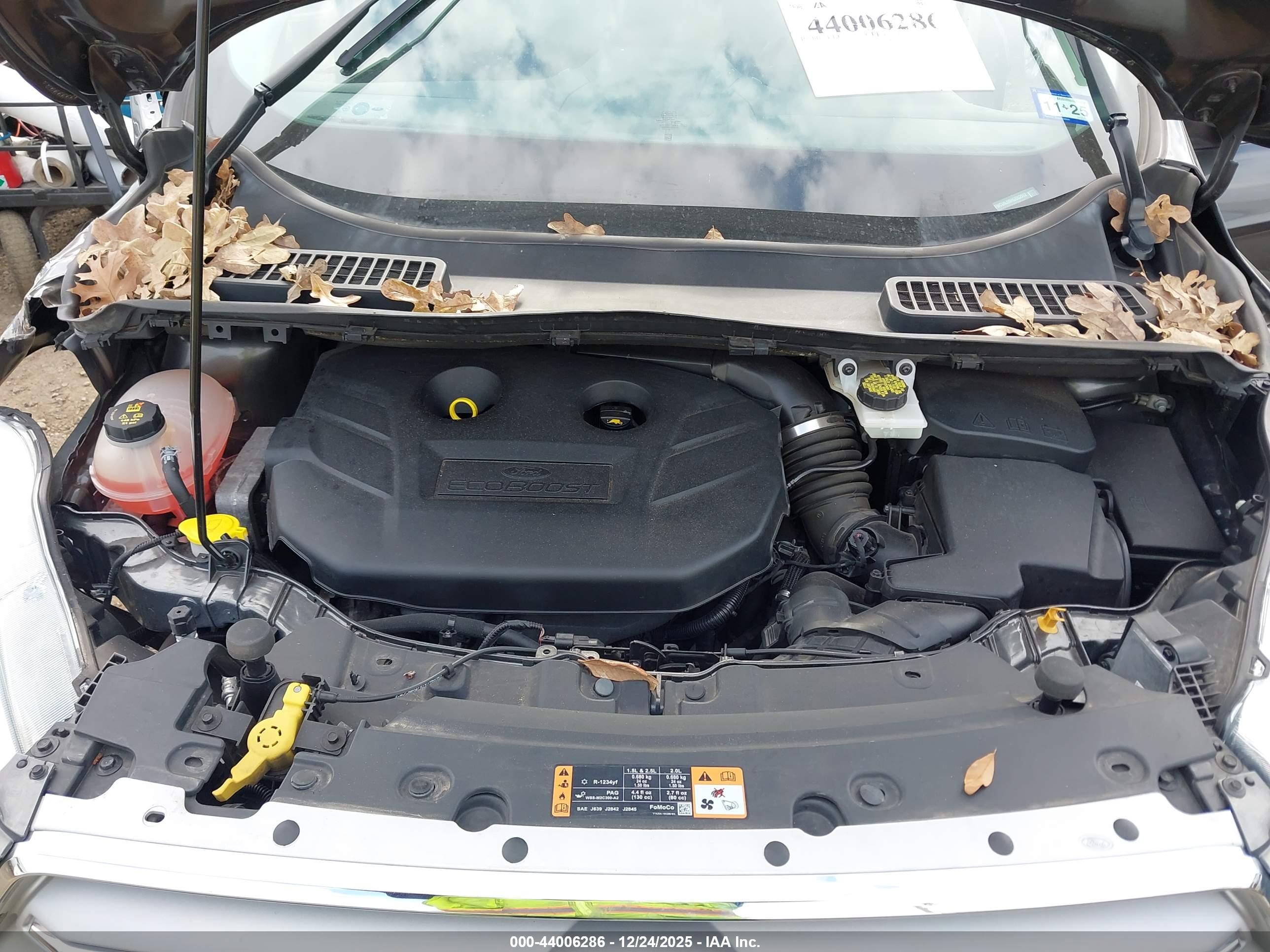 FORD ESCAPE image 10