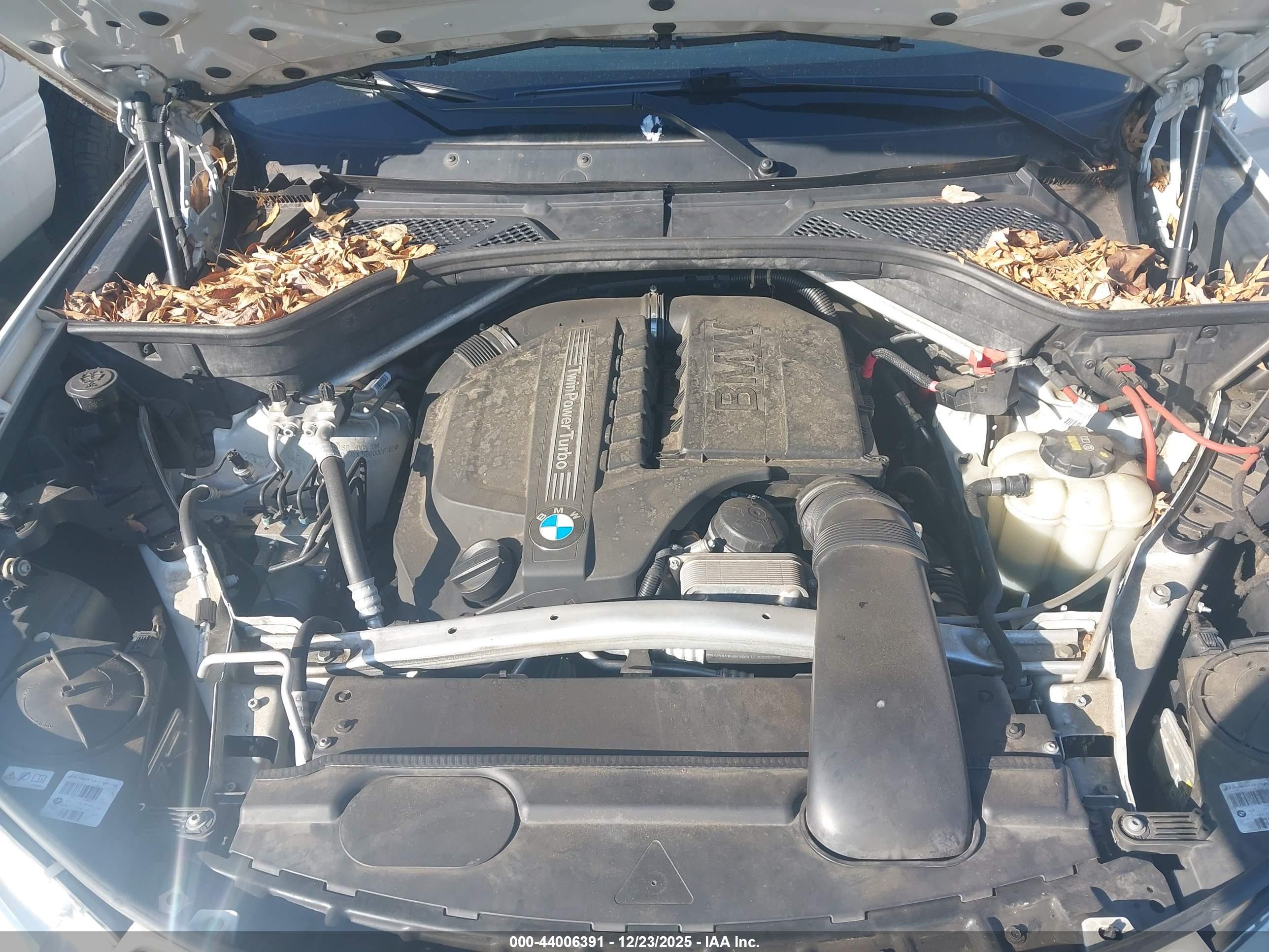 BMW X5 image 10