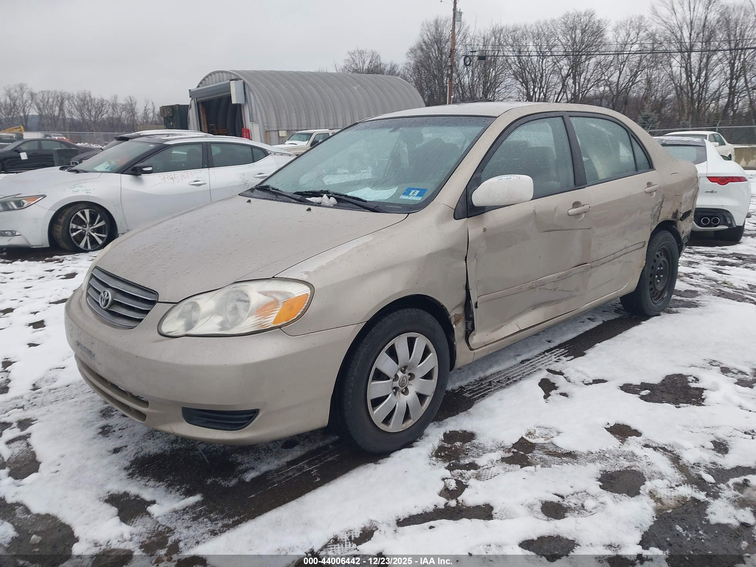 TOYOTA COROLLA image 2