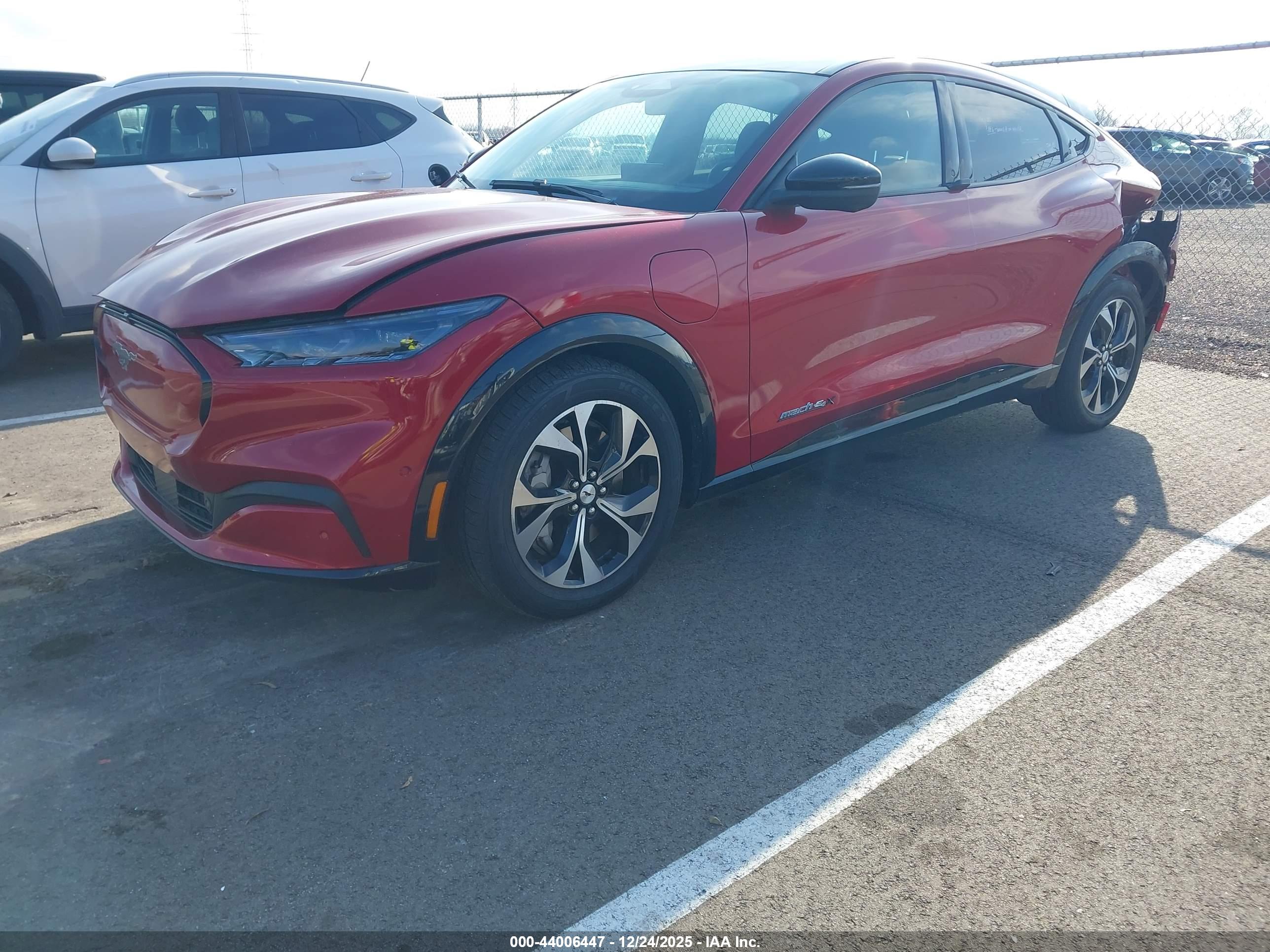 FORD MUSTANG image 2
