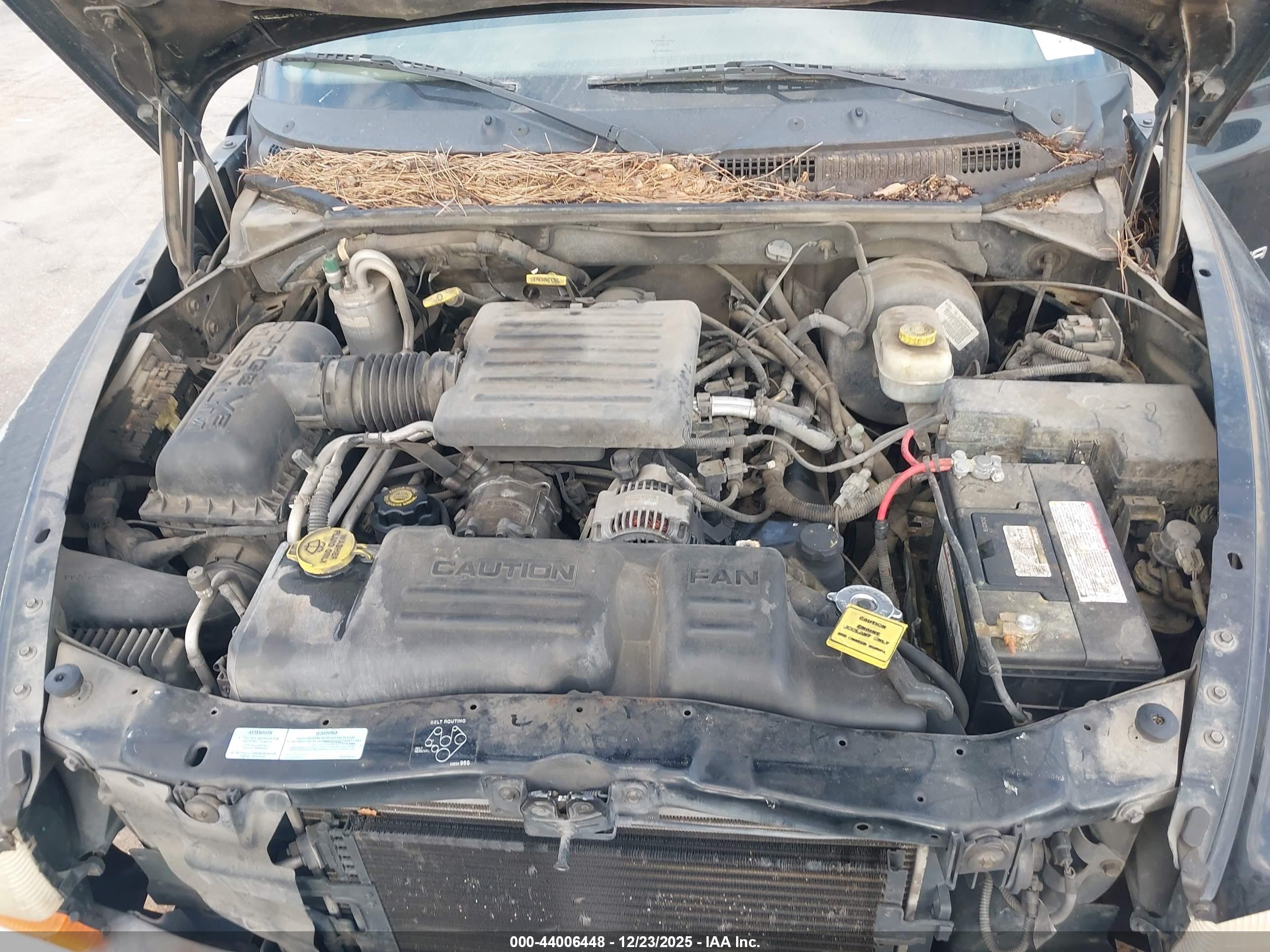 DODGE DAKOTA image 10