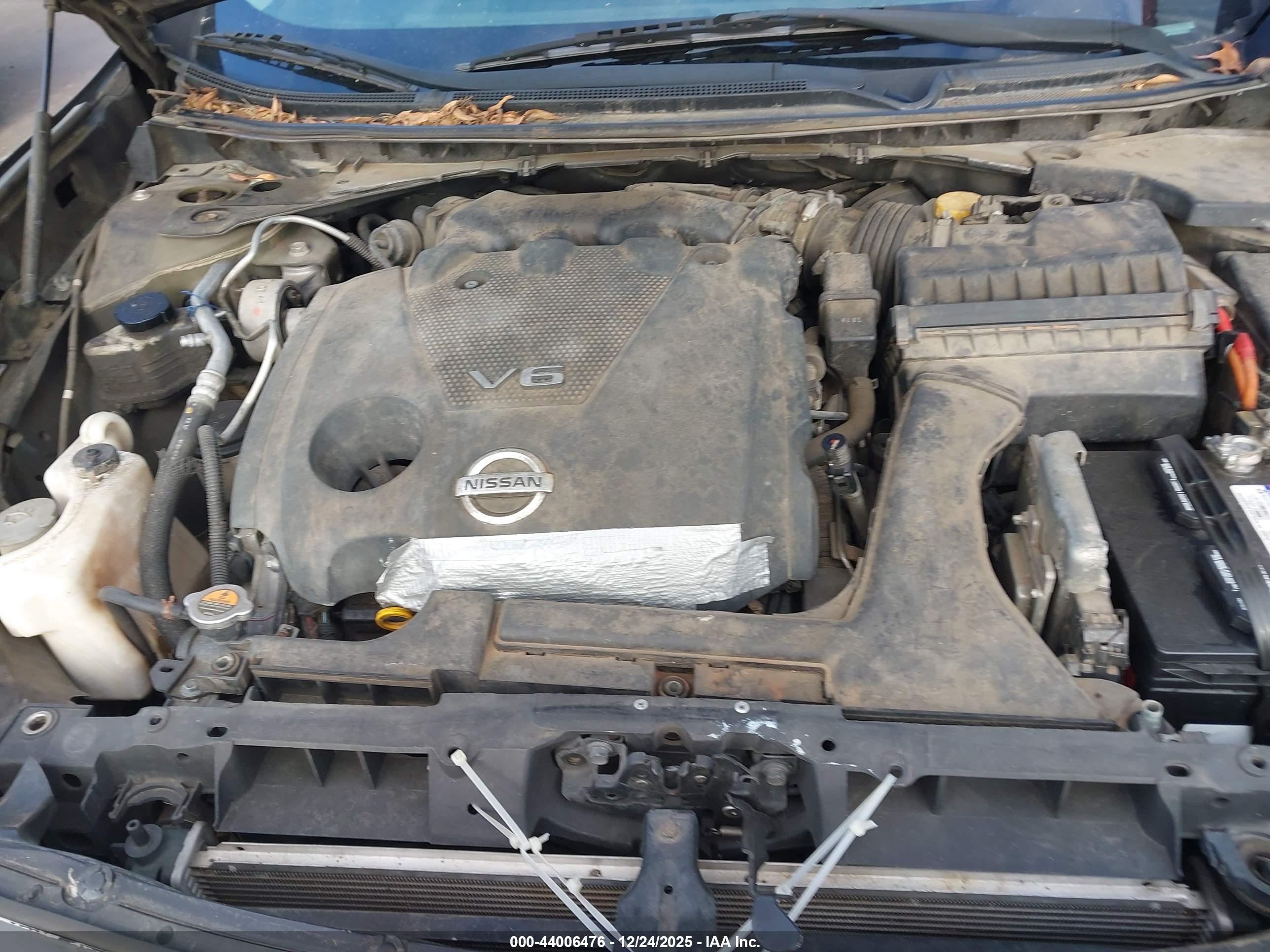 NISSAN MAXIMA image 10