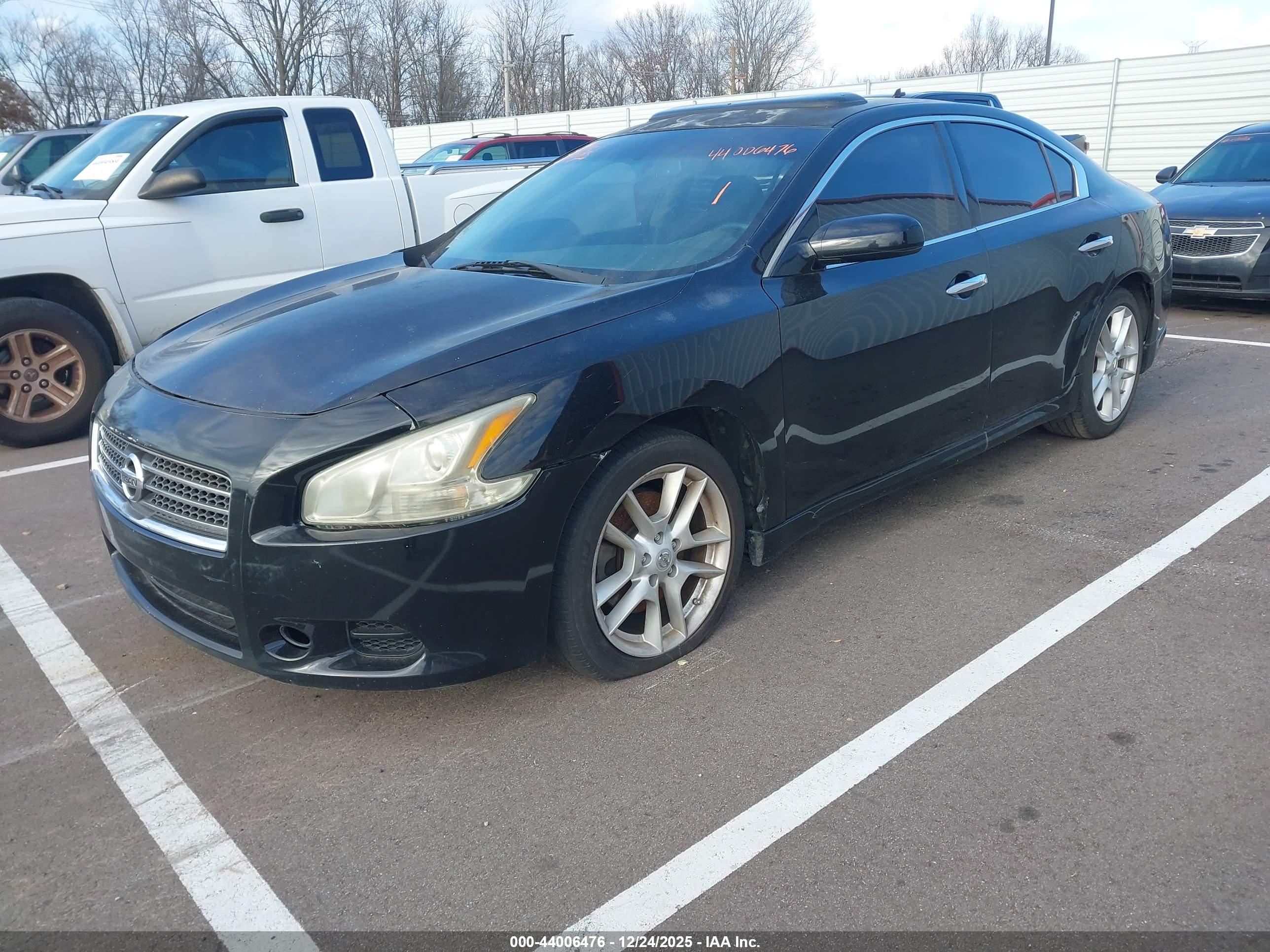 NISSAN MAXIMA image 2
