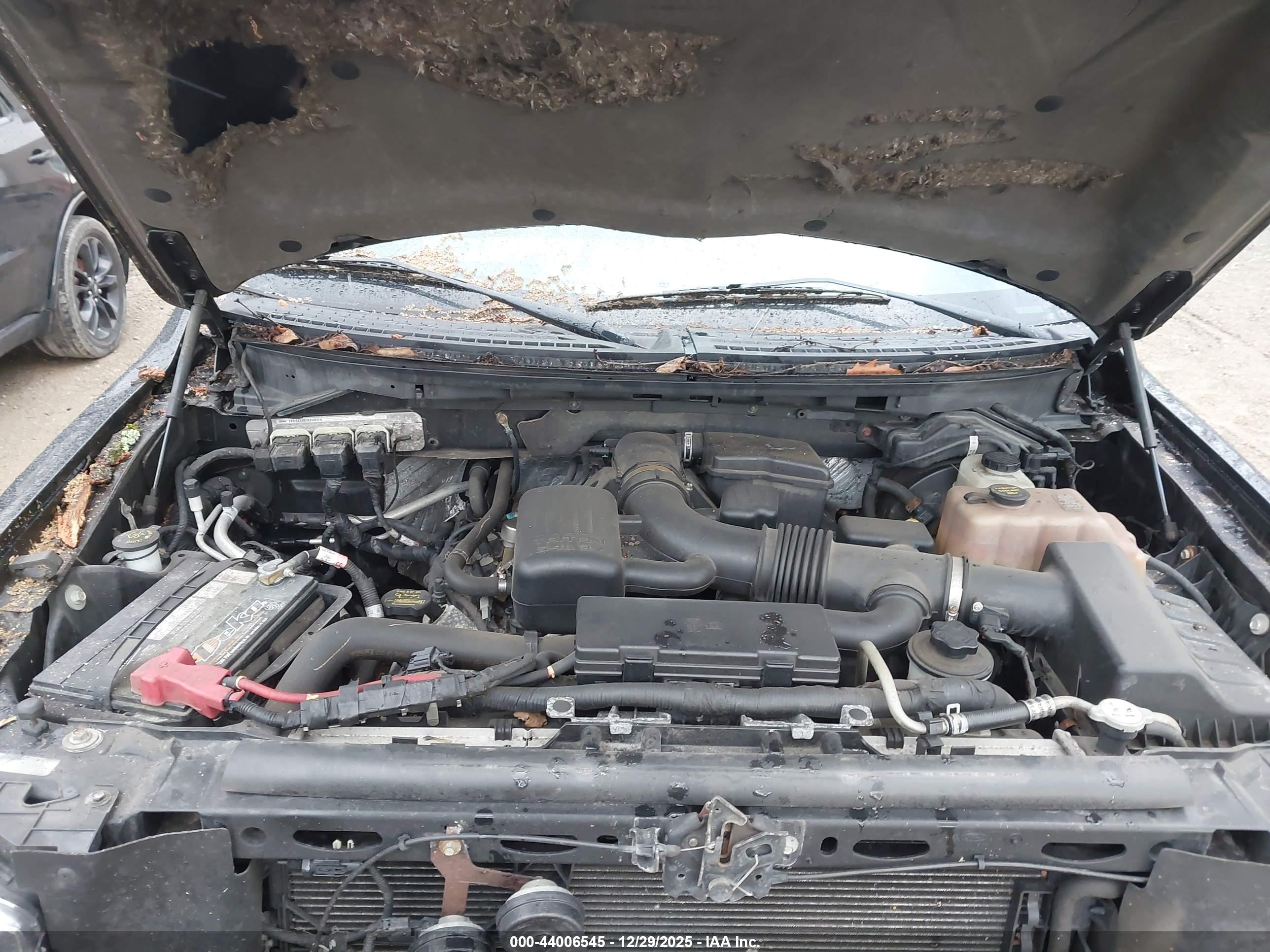 FORD F-150 image 10