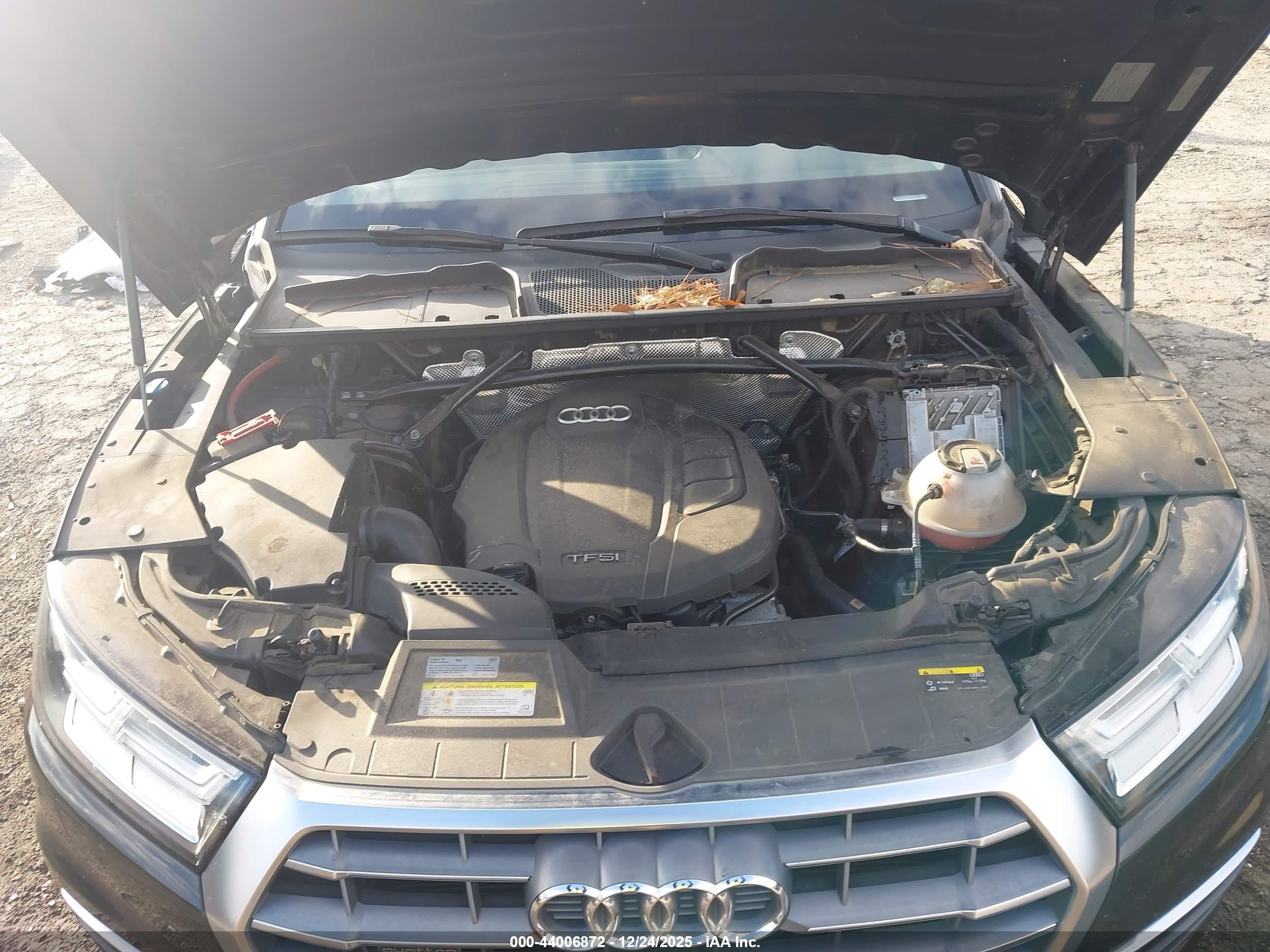 AUDI Q5 image 10