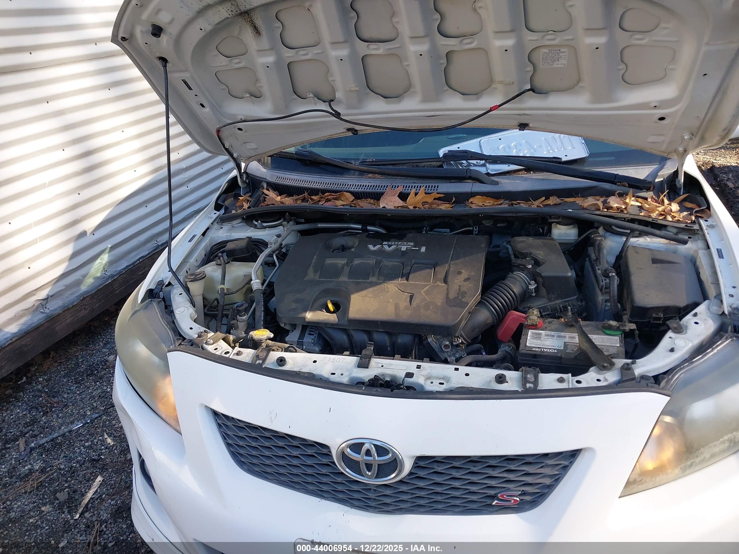 TOYOTA COROLLA image 10