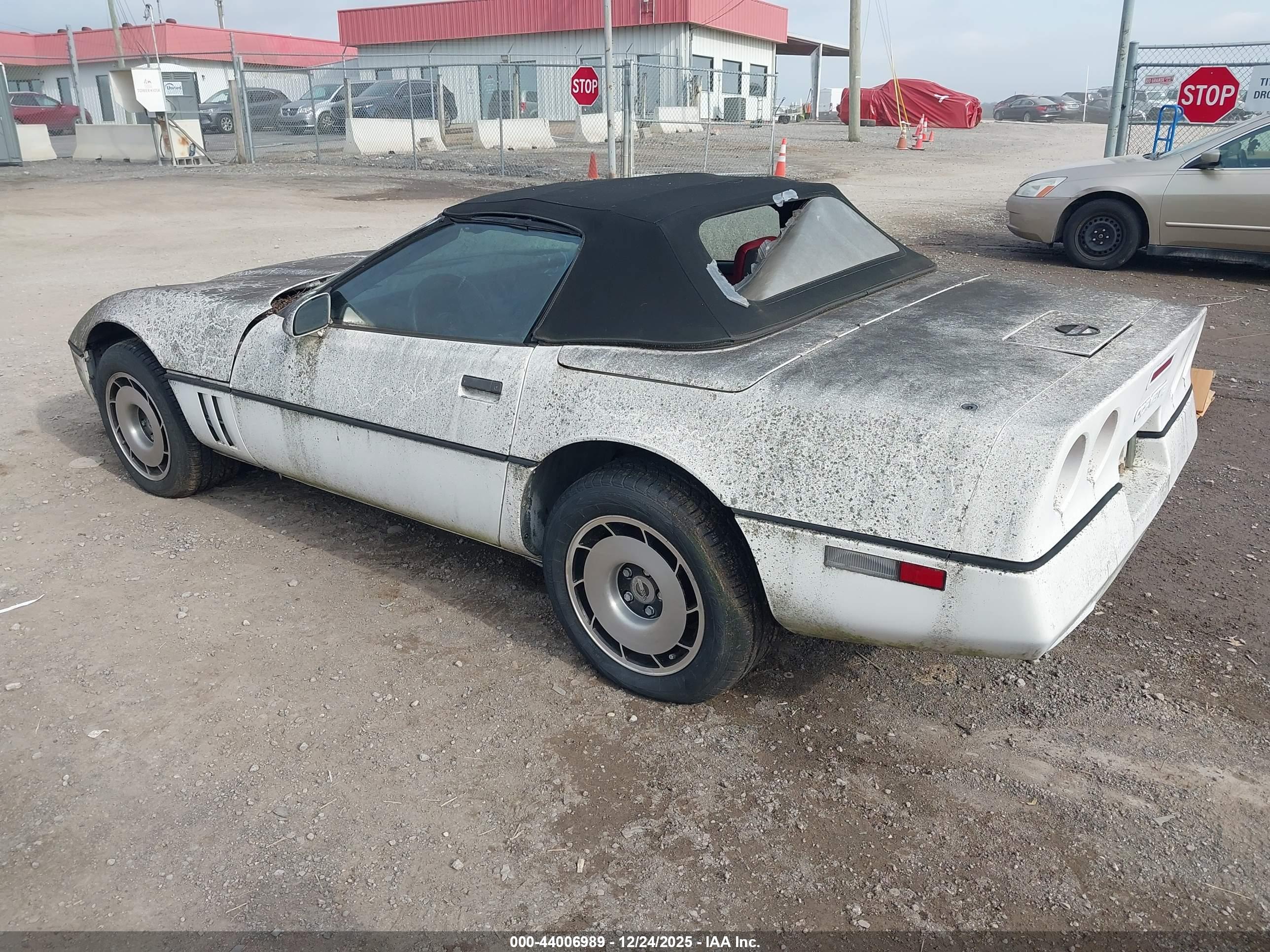 CHEVROLET CORVETTE image 3