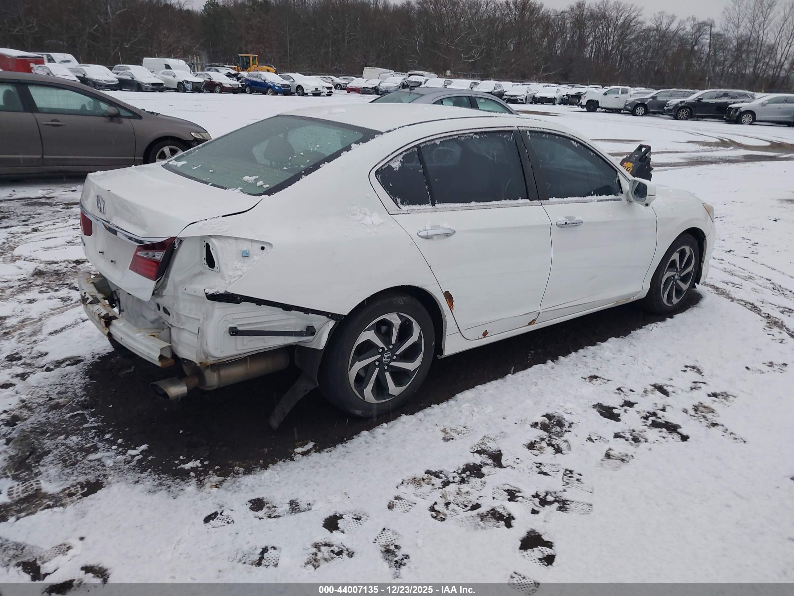 HONDA ACCORD image 4