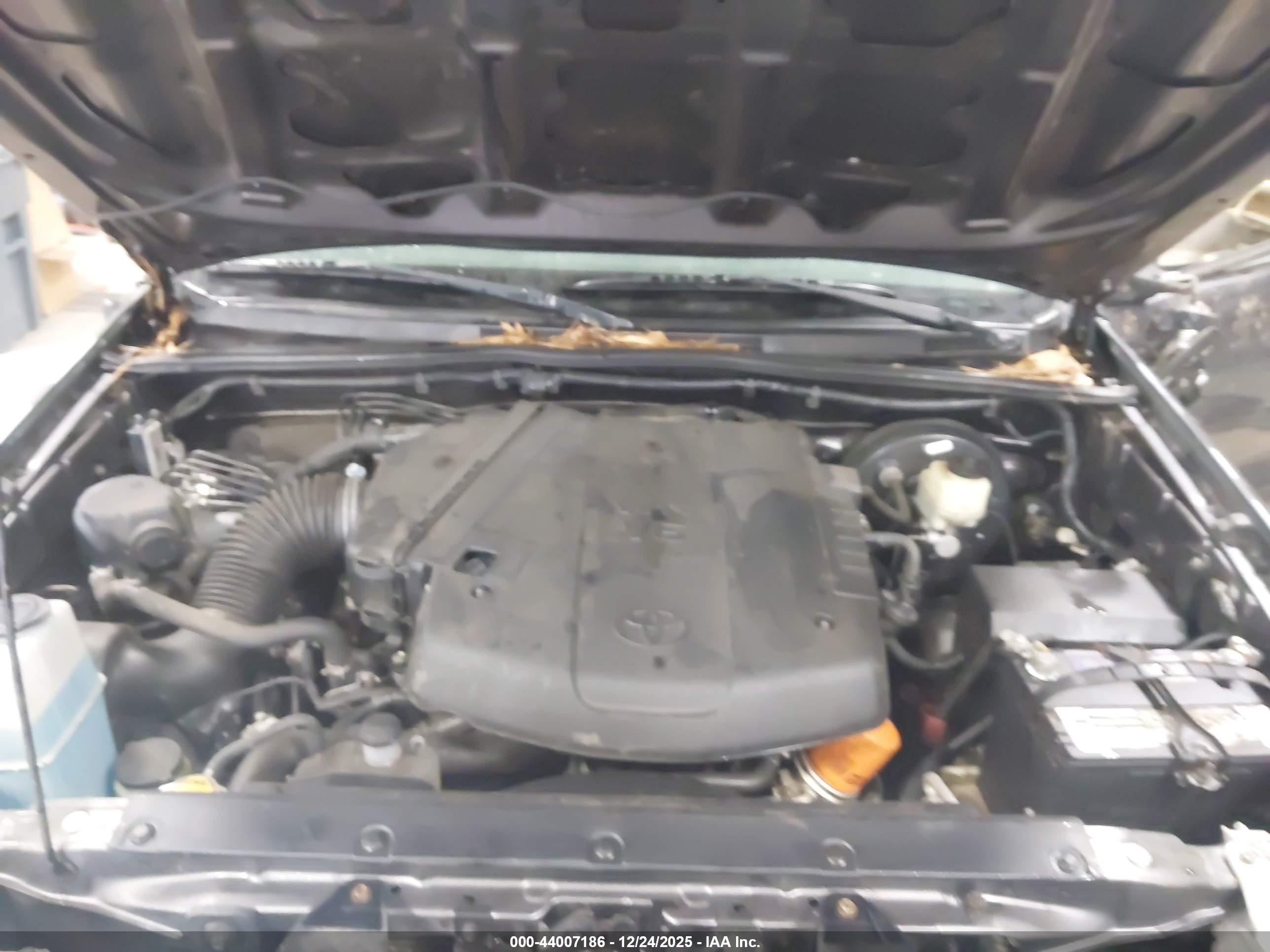 TOYOTA TACOMA image 10
