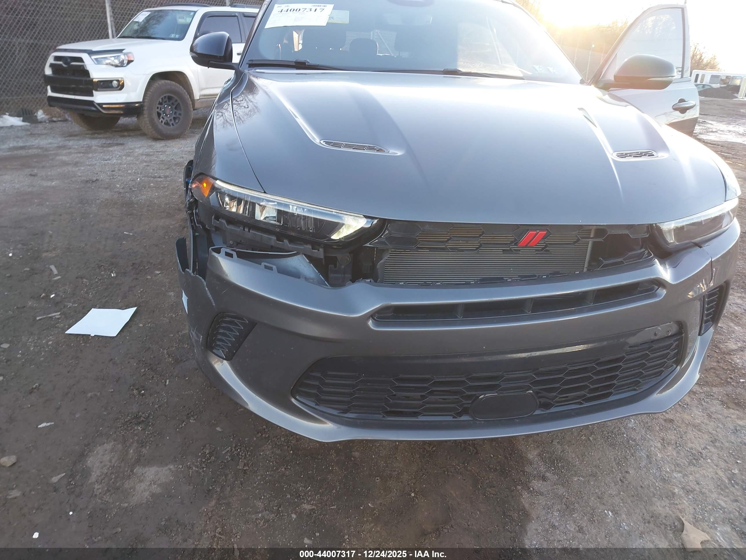 DODGE HORNET image 6