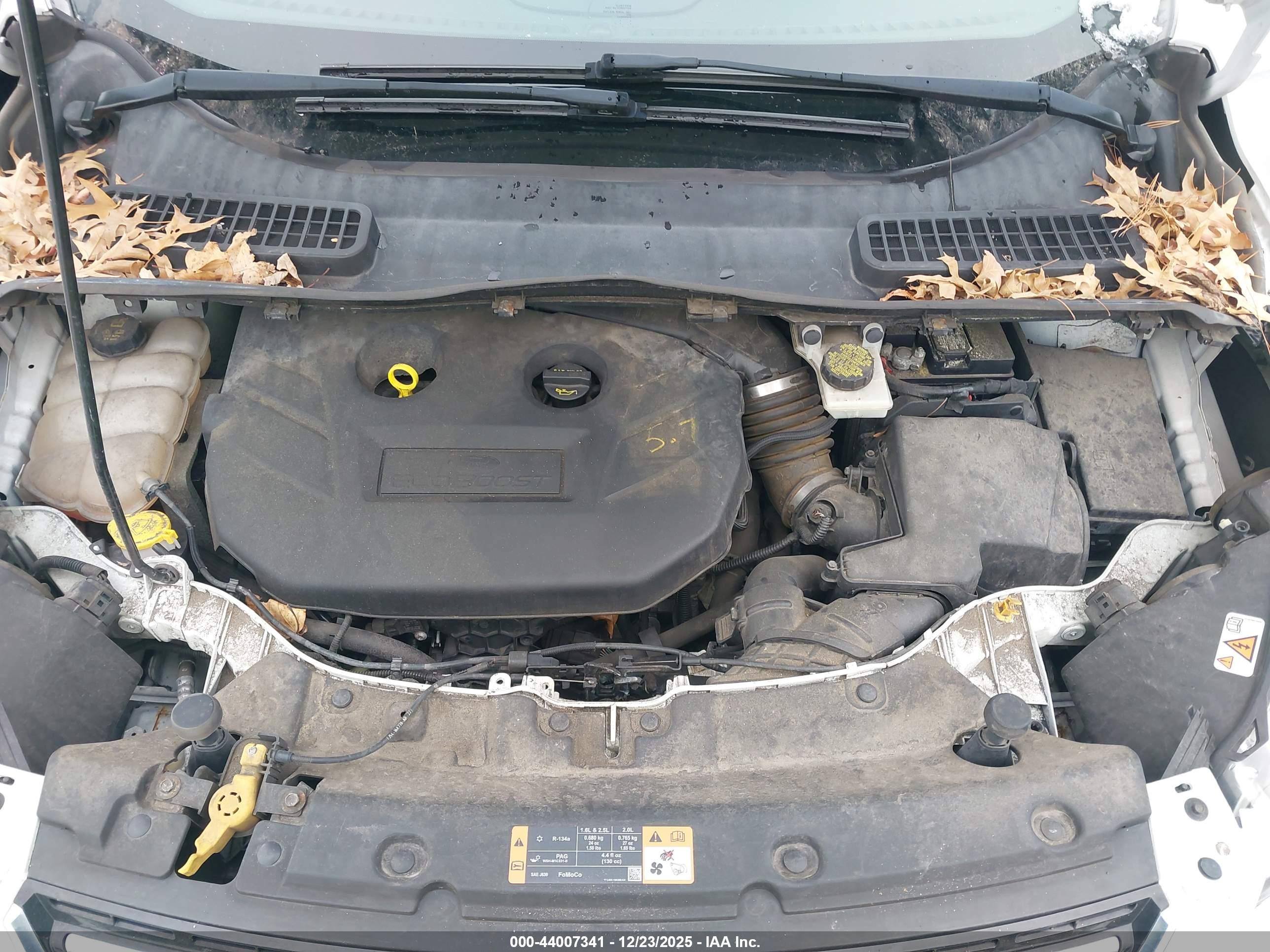FORD ESCAPE image 10
