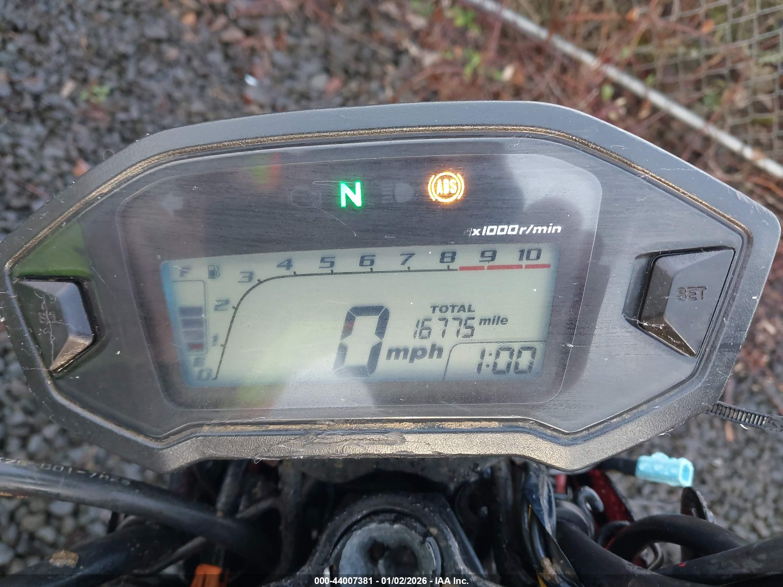 HONDA GROM image 7